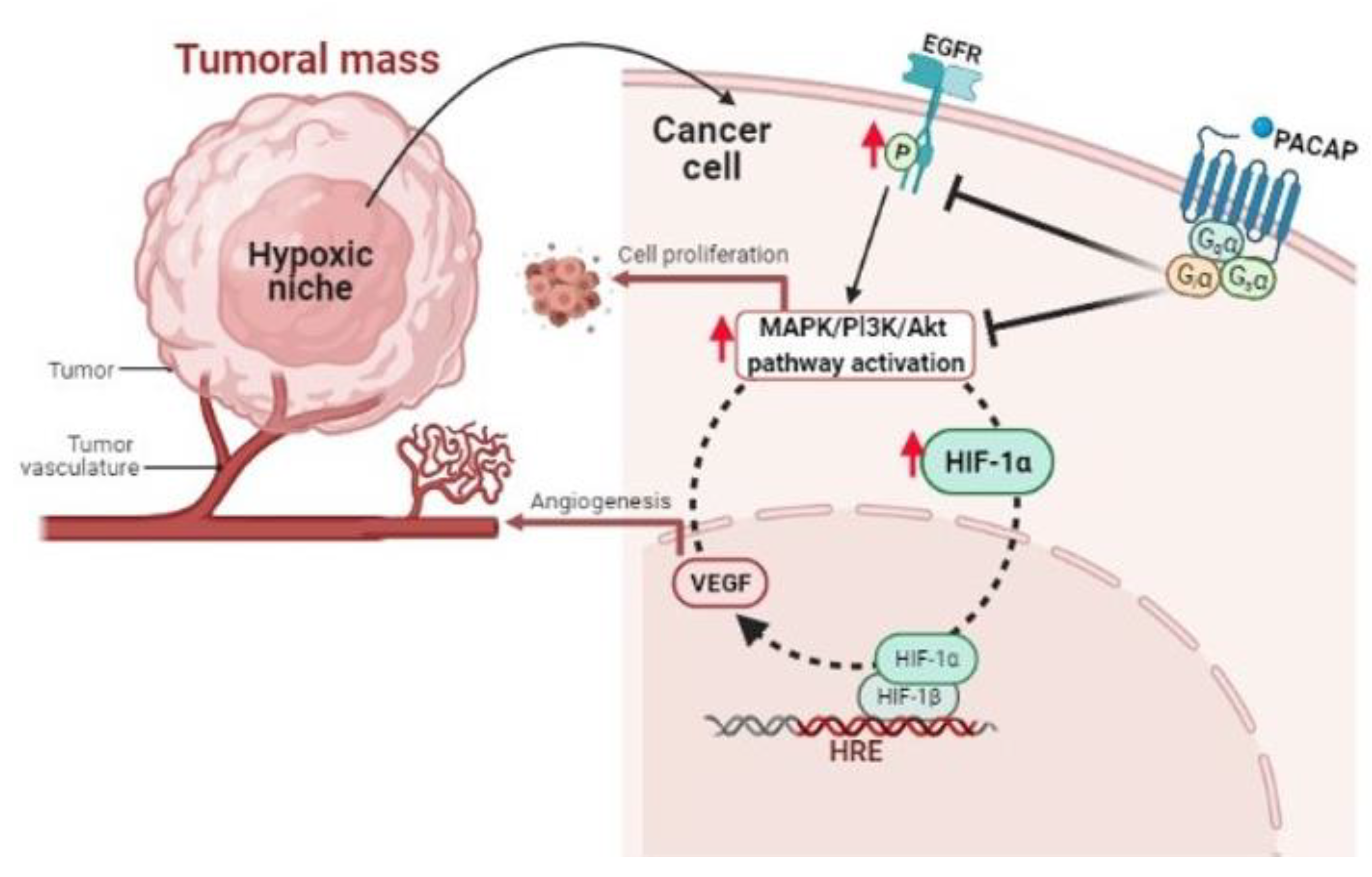 Brainsci 11 00994 g001