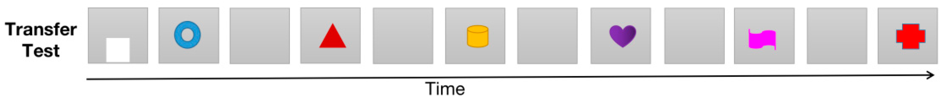 Brainsci 11 01011 g002