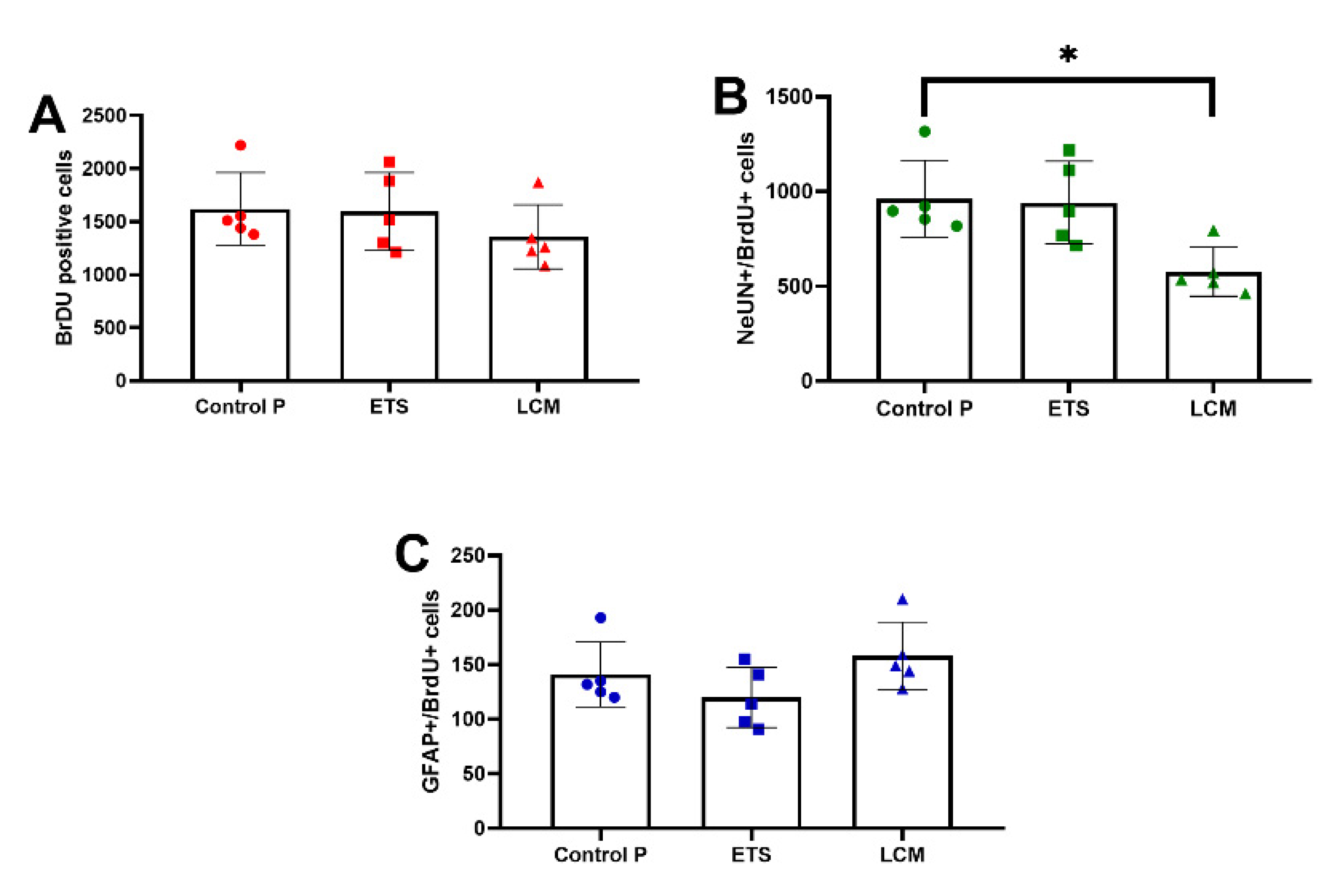 Brainsci 11 01014 g002