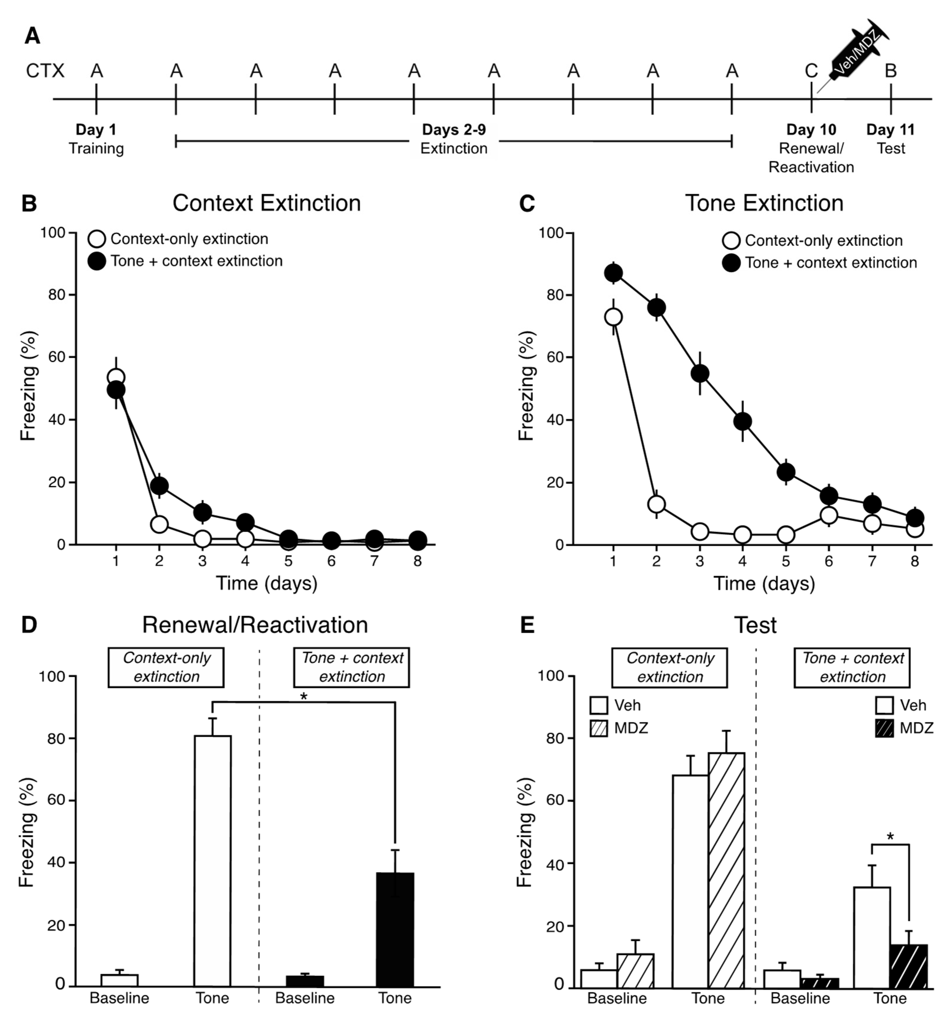 Brainsci 11 01023 g001