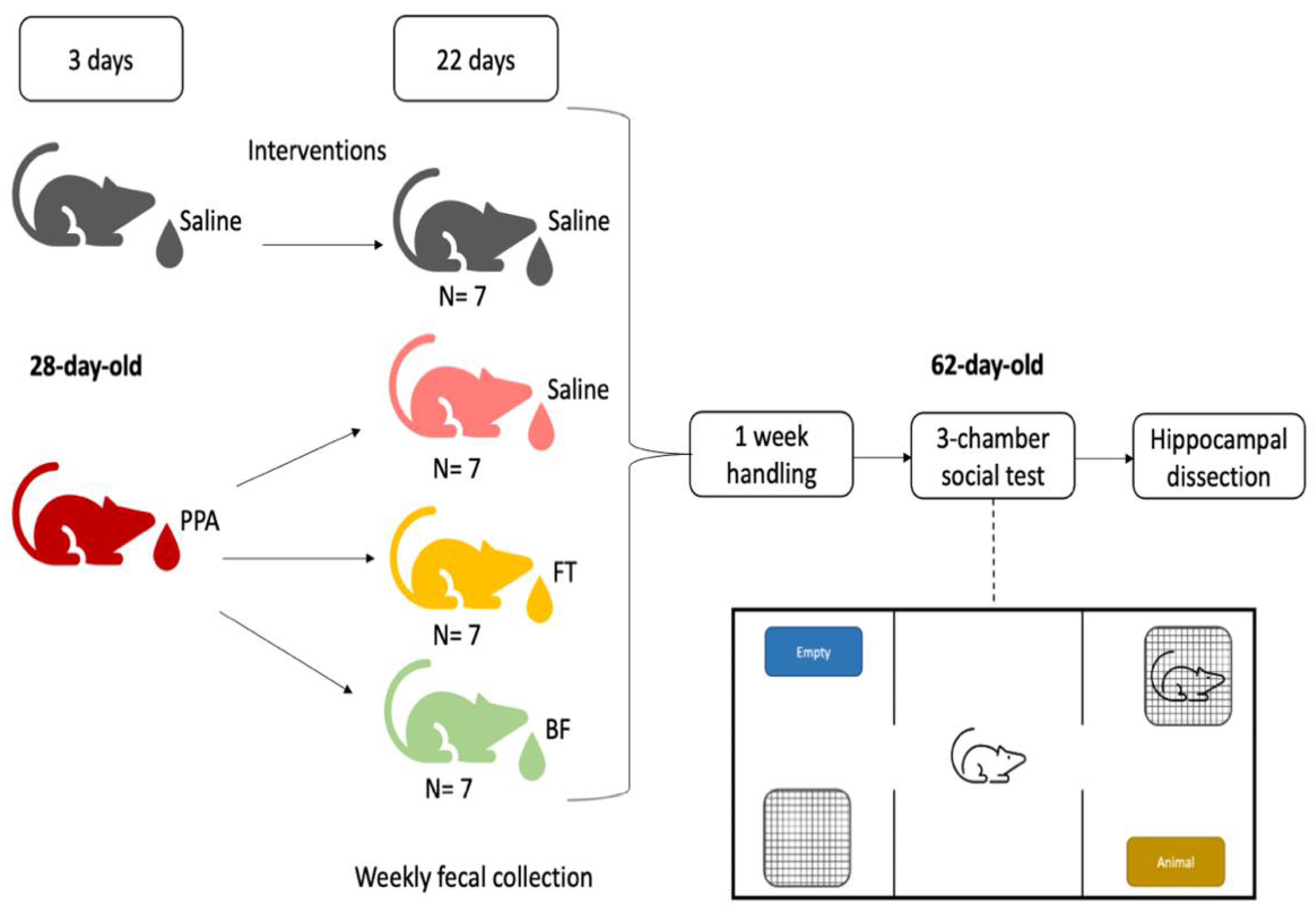 Brainsci 11 01038 g001