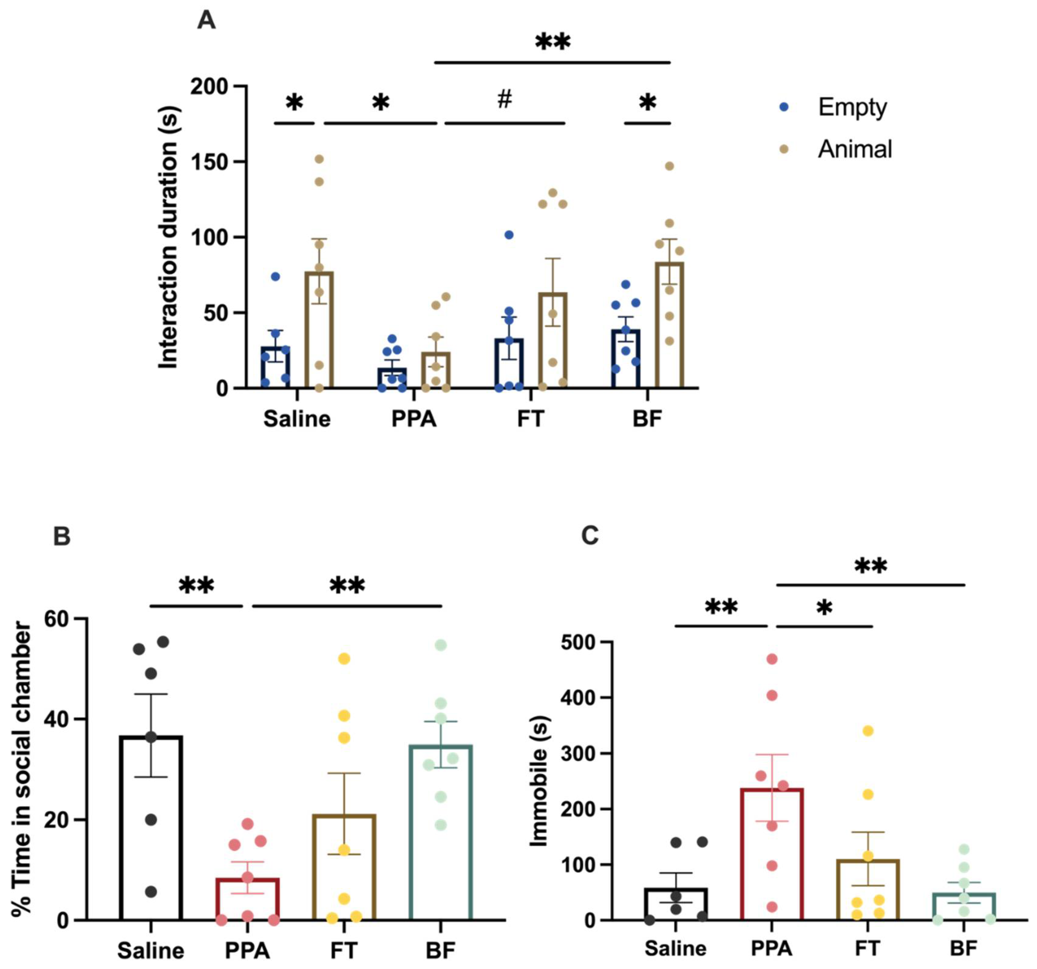 Brainsci 11 01038 g002