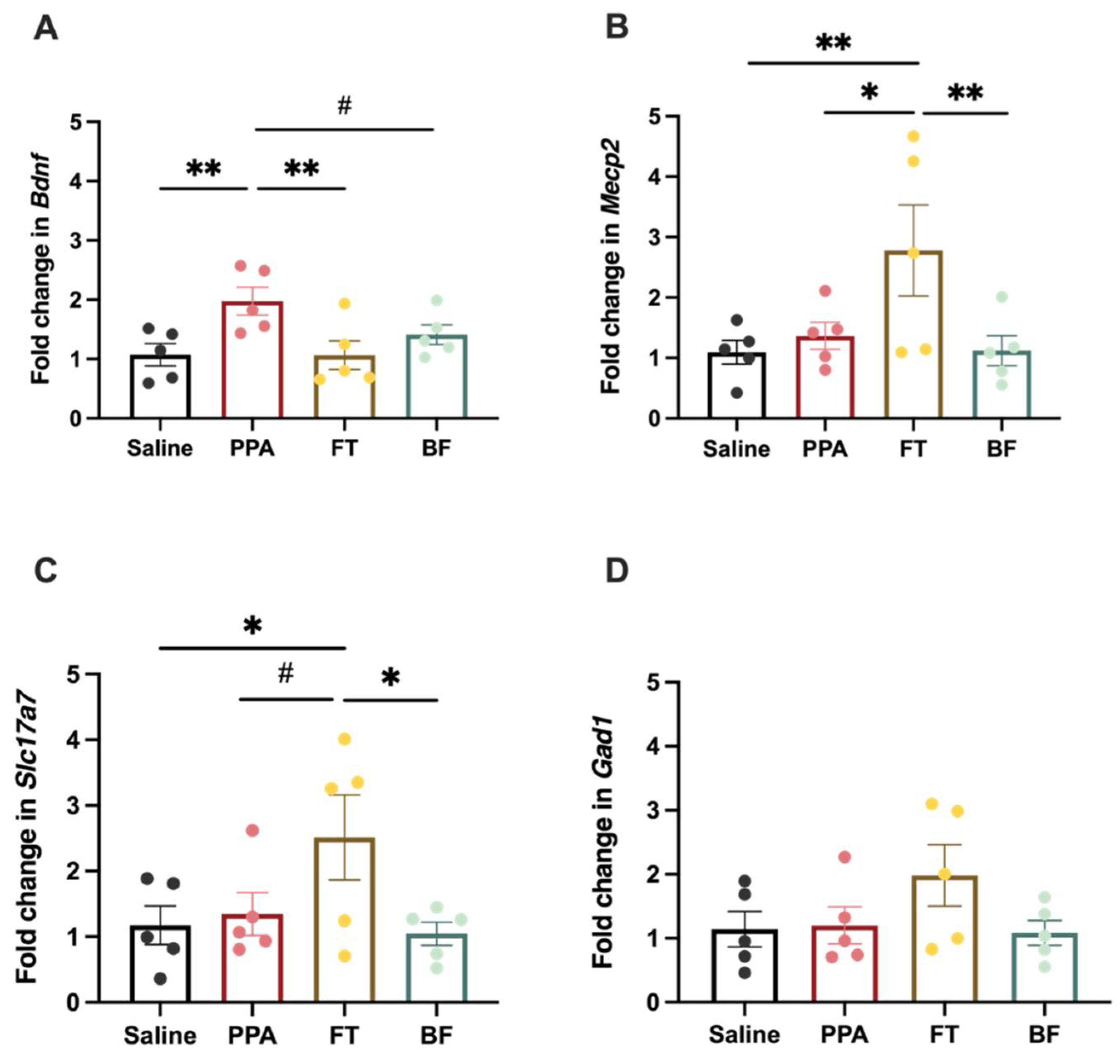 Brainsci 11 01038 g005
