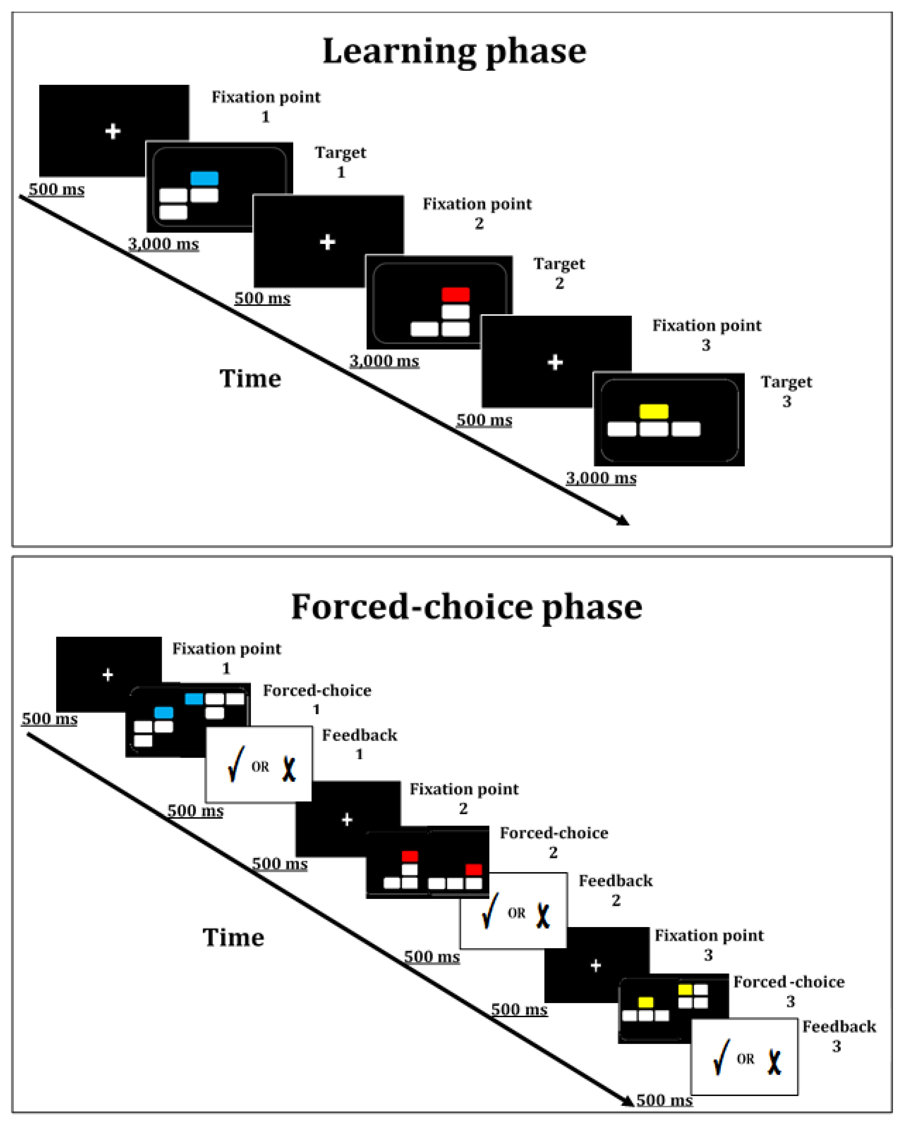 Brainsci 11 01039 g001