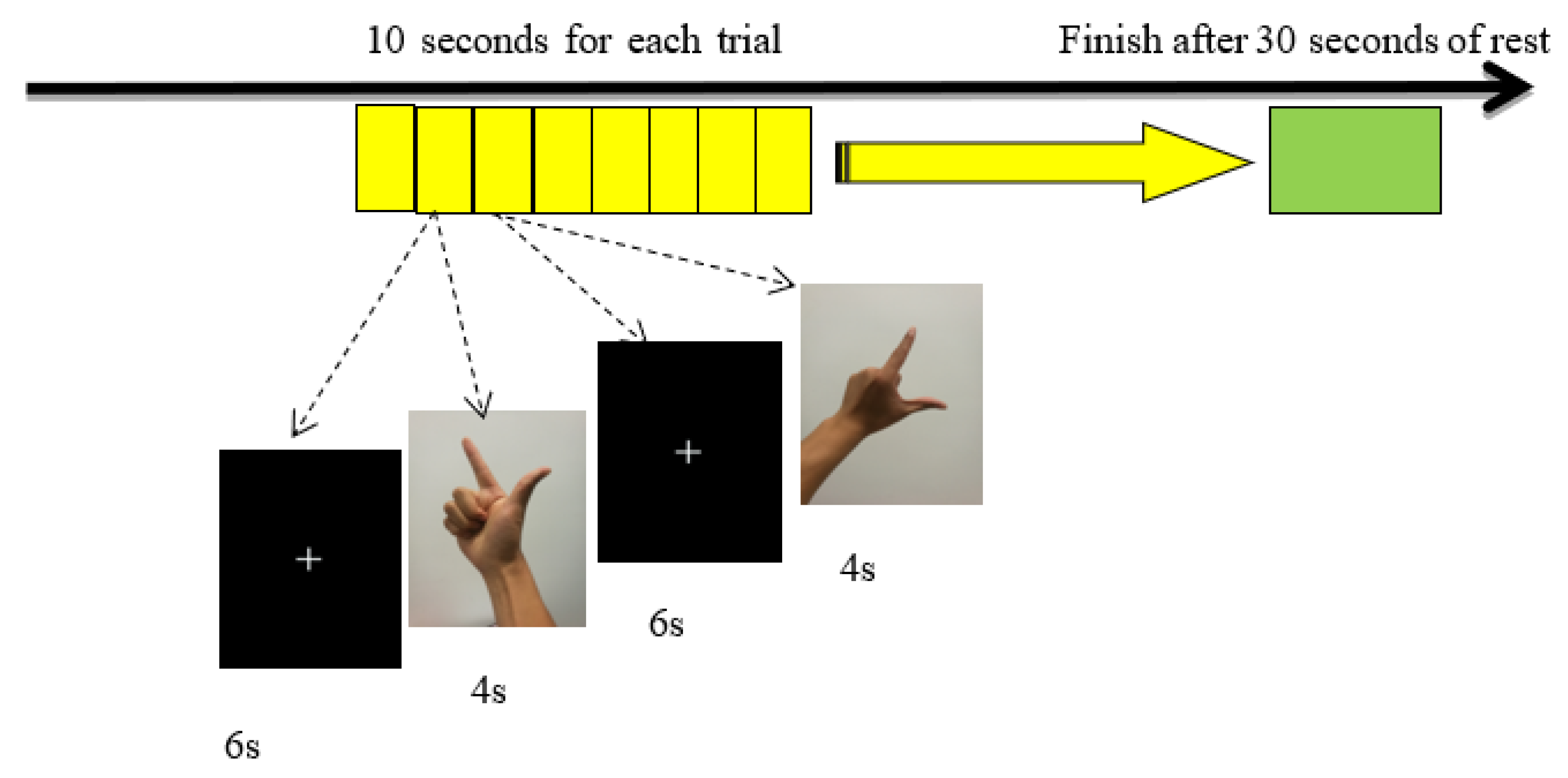 Brainsci 11 01052 g001 Brainsci 11 01052 g001