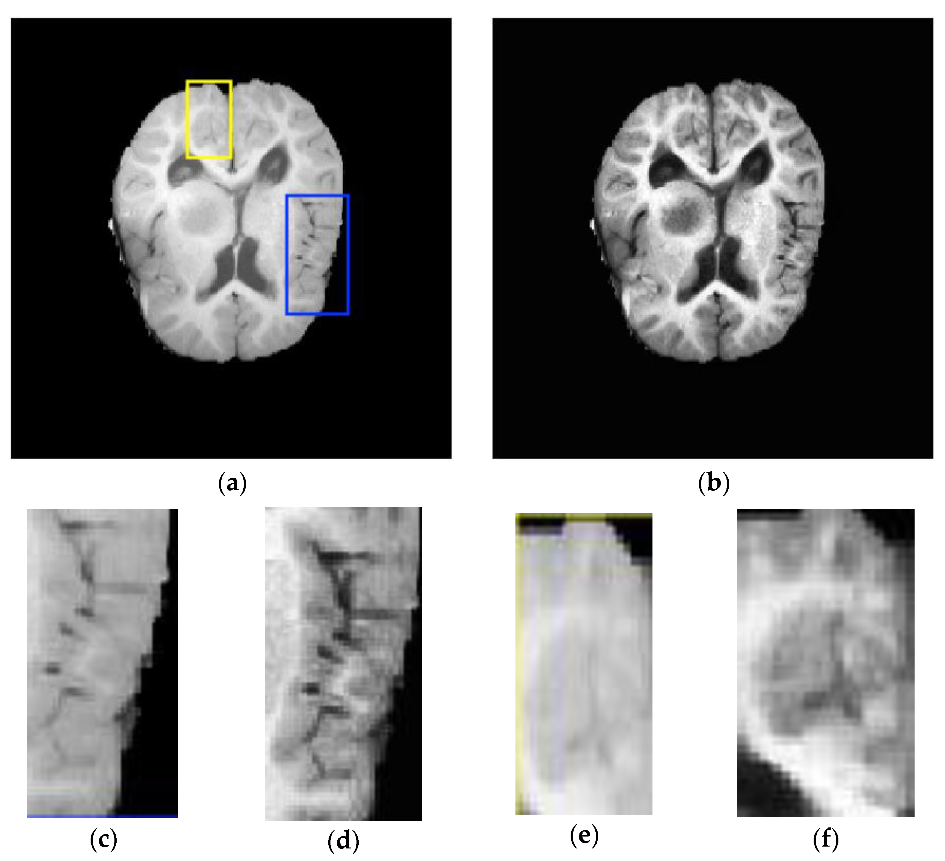 Brainsci 11 01055 g003