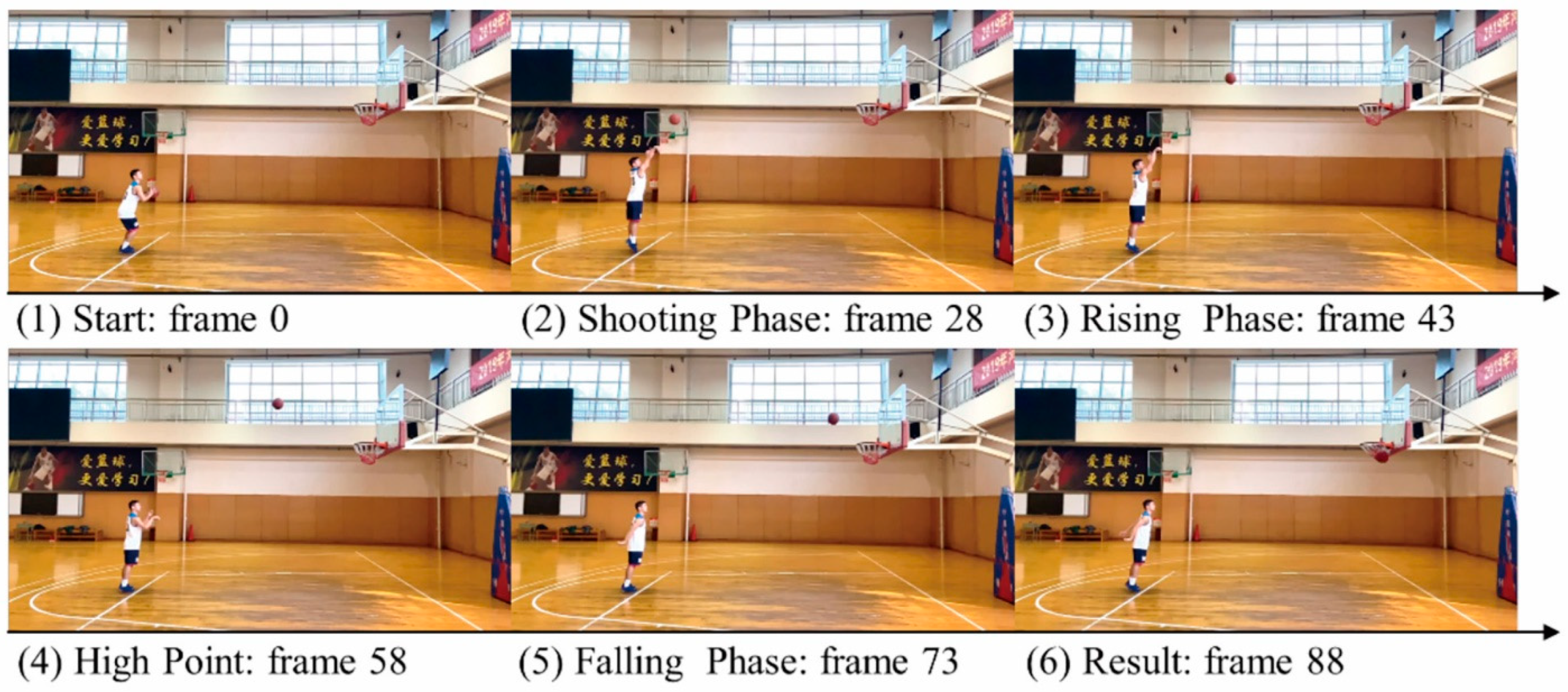 Brainsci 11 01058 g001
