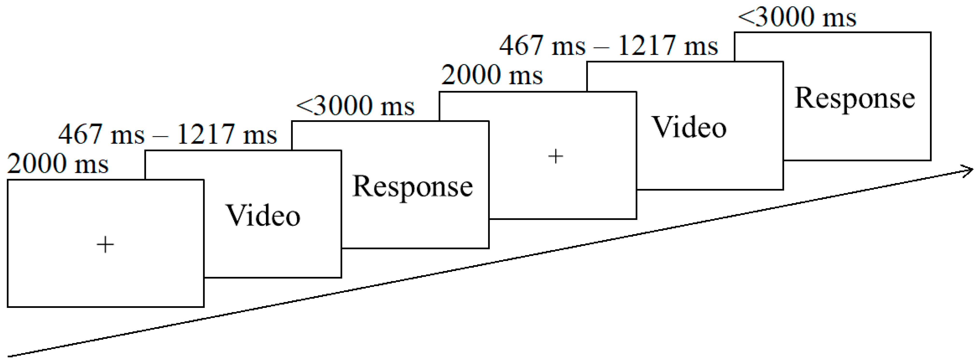 Brainsci 11 01058 g002