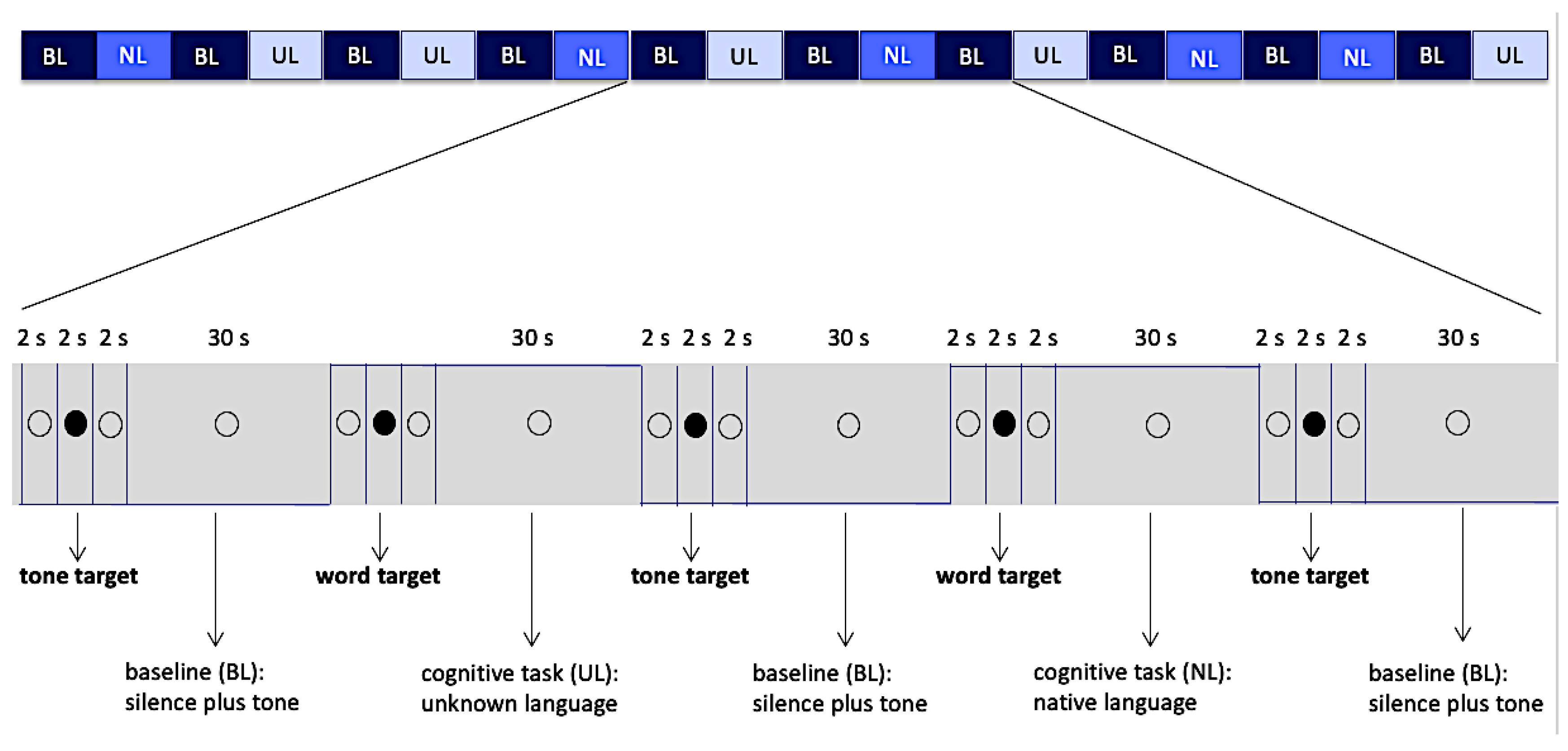 Brainsci 11 01063 g001