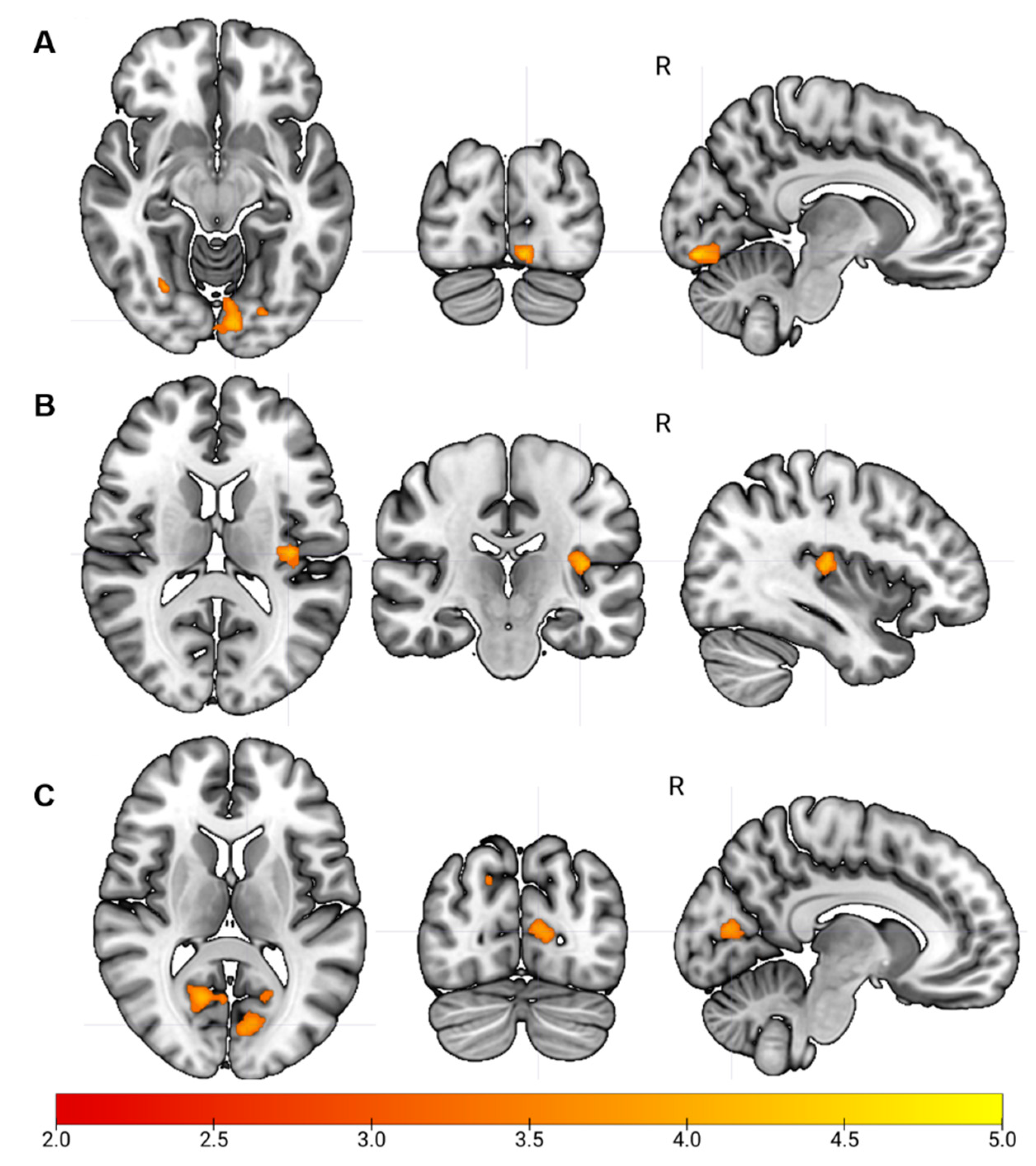 Brainsci 11 01065 g002
