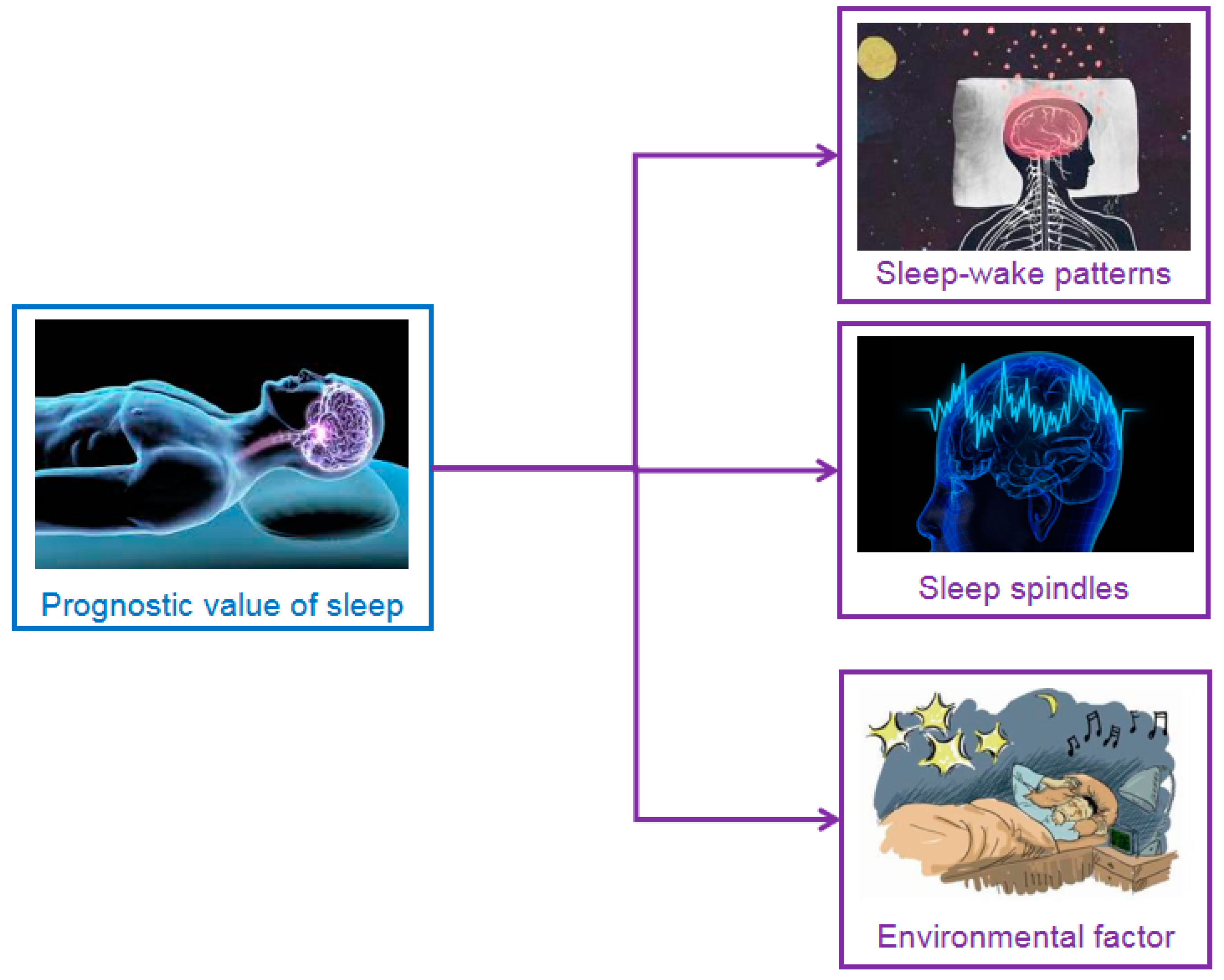 Brainsci 11 01072 g004 Brainsci 11 01072 g004