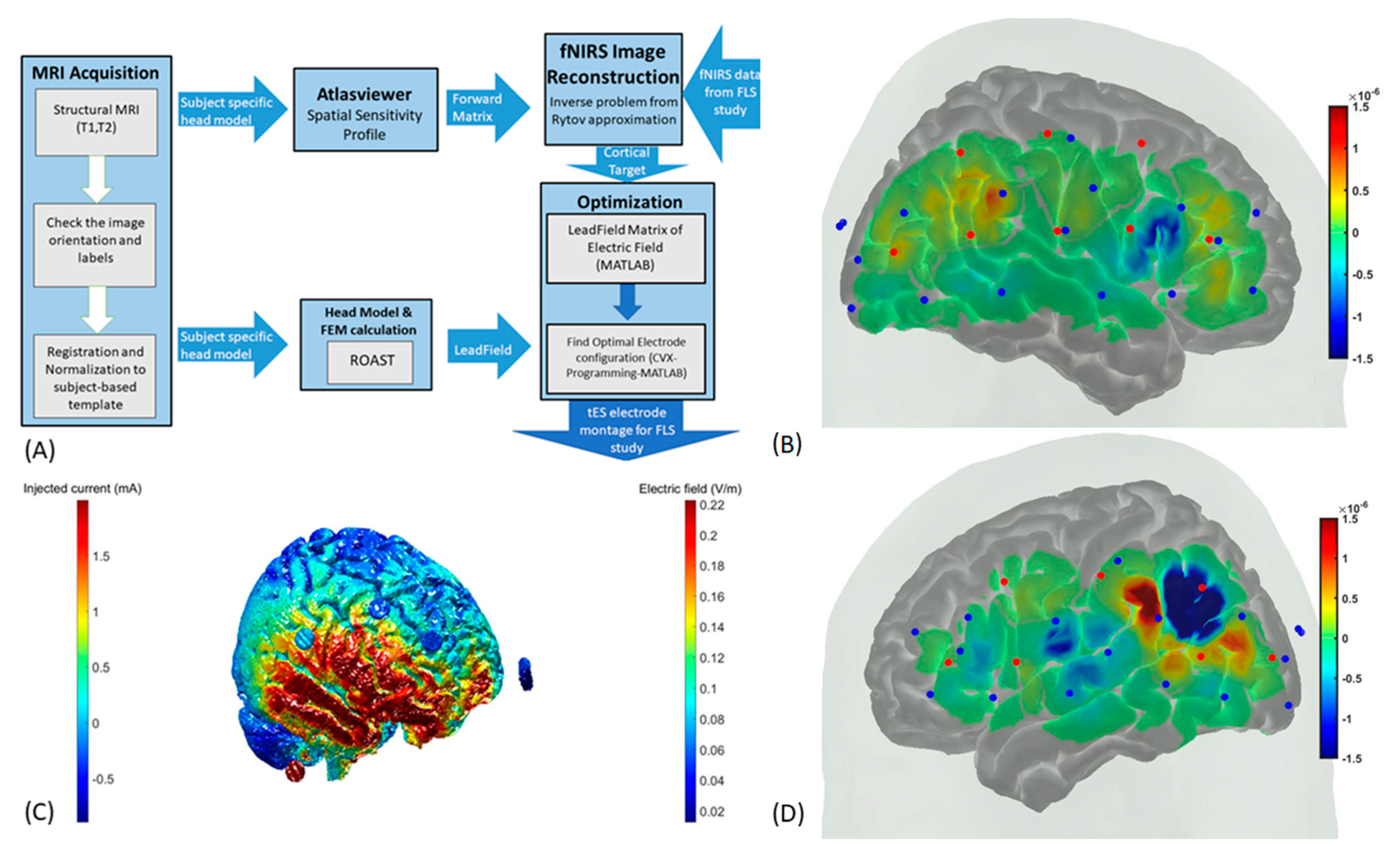 Brainsci 11 01078 g001