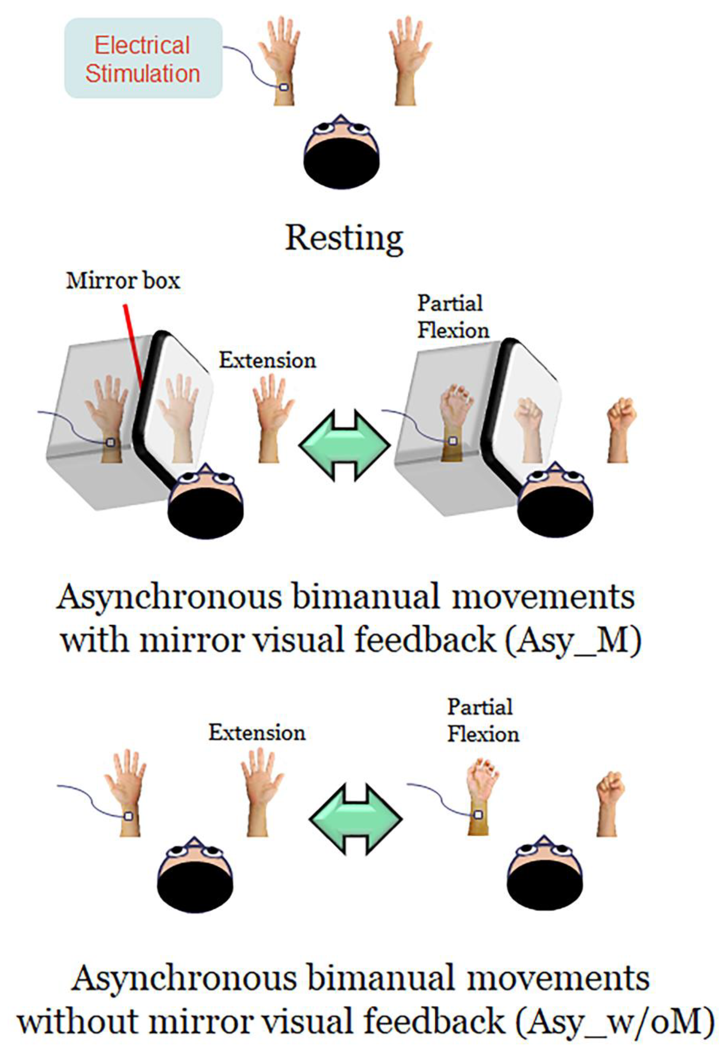 Brainsci 11 01092 g001