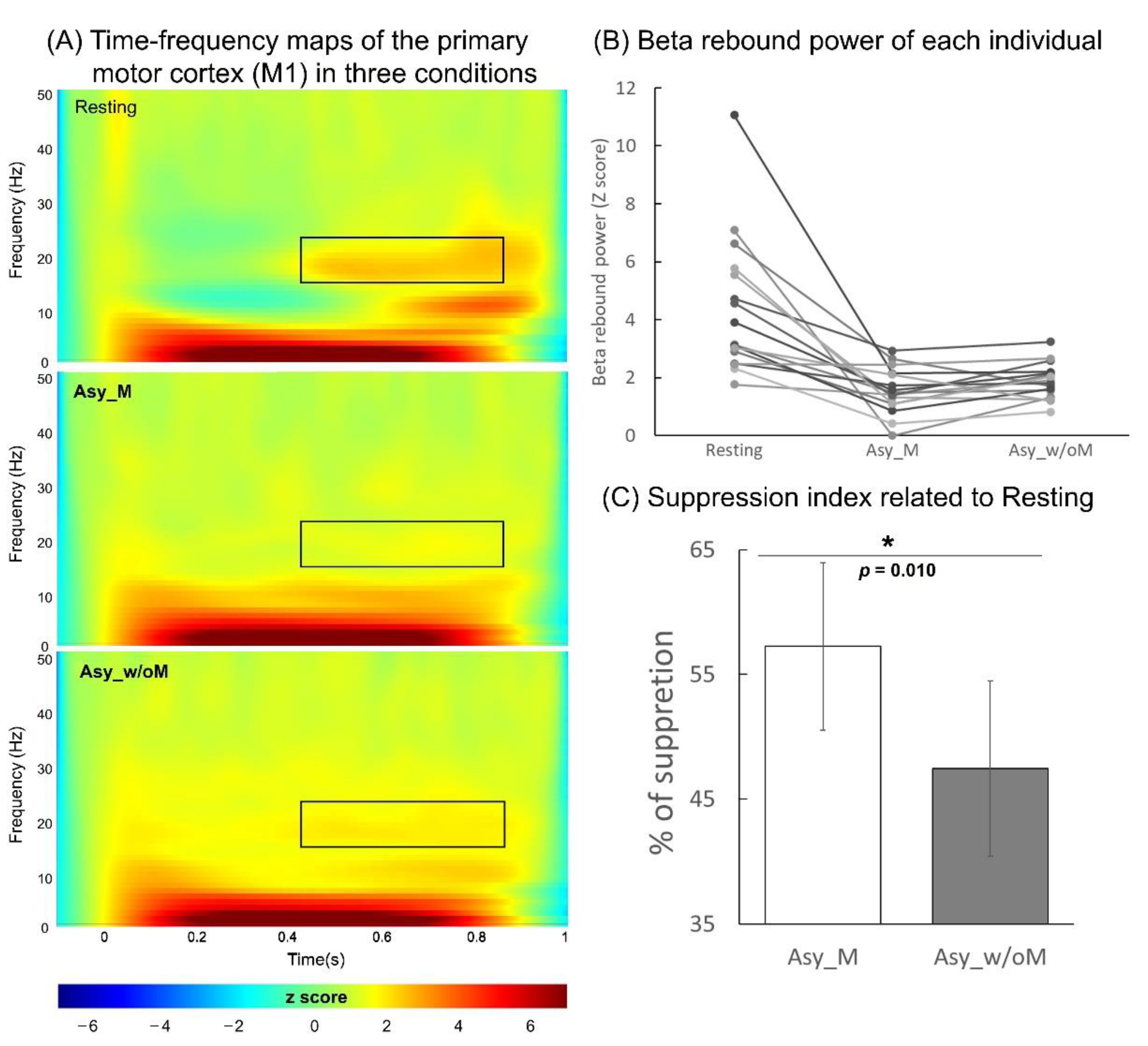Brainsci 11 01092 g003