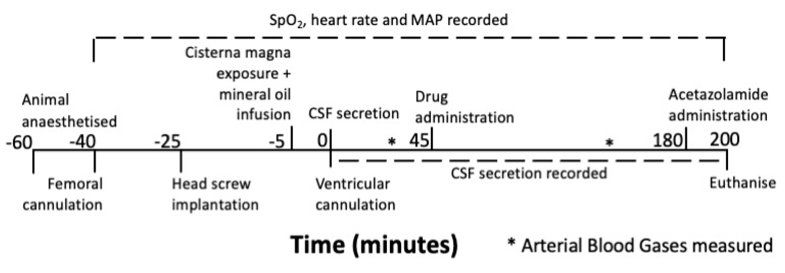 Brainsci 11 01117 g001