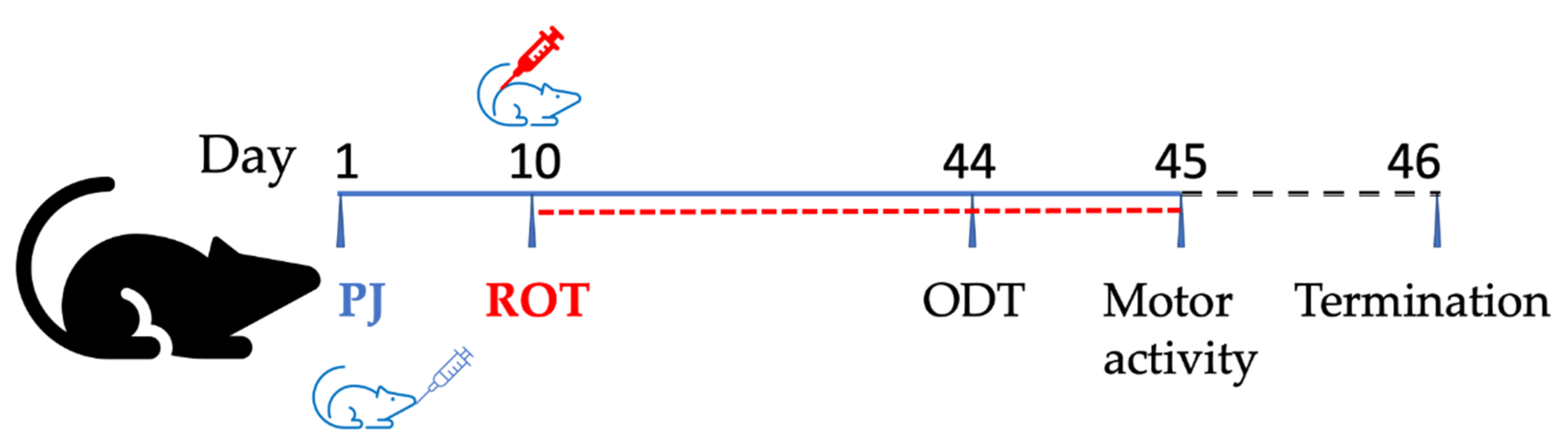 Brainsci 11 01127 g001 Brainsci 11 01127 g001