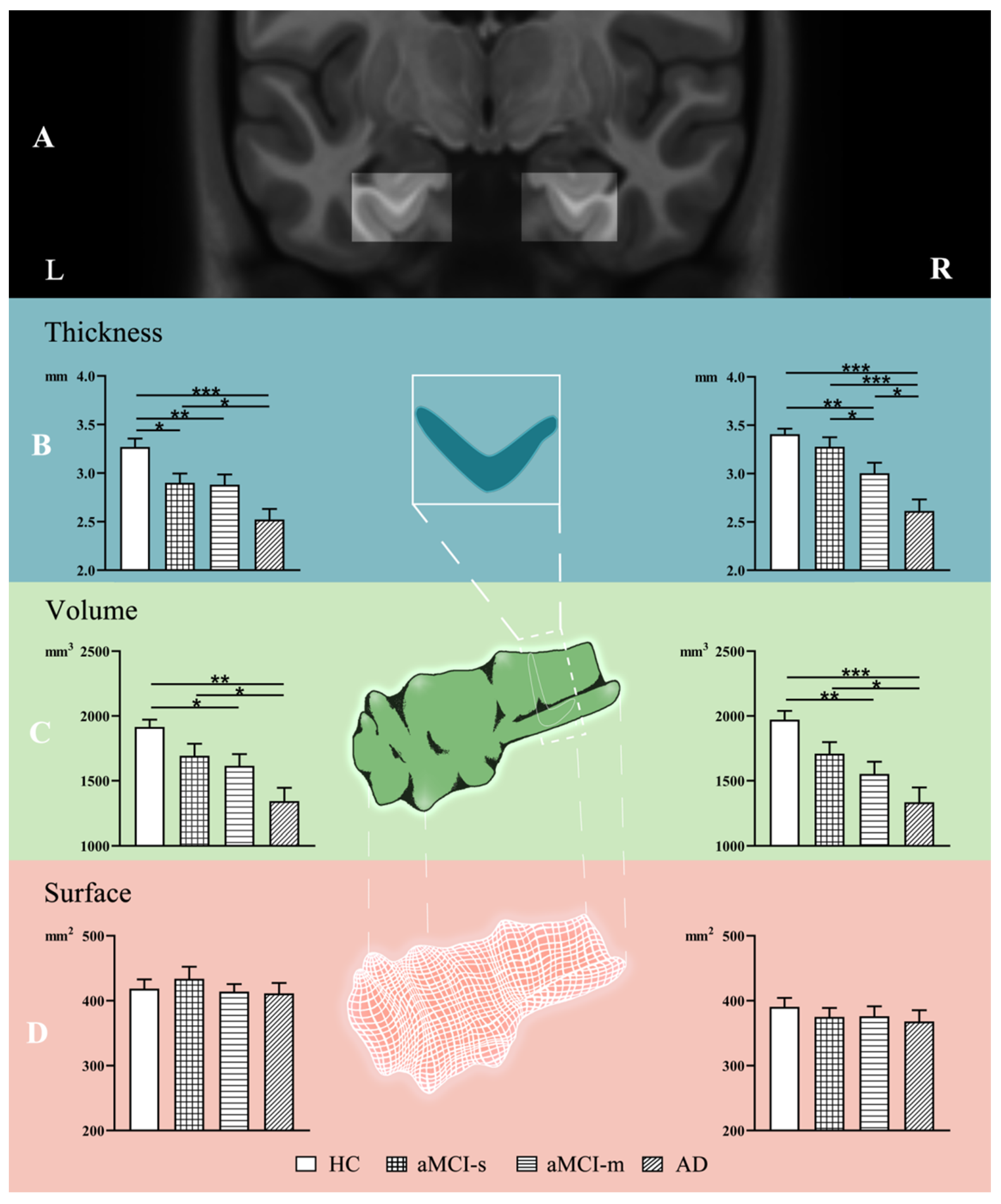Brainsci 11 01129 g001
