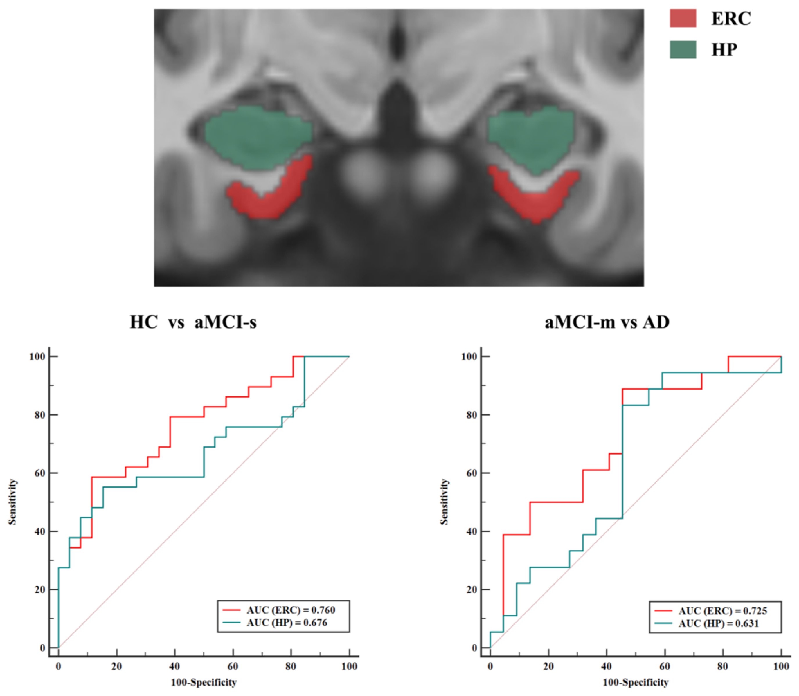 Brainsci 11 01129 g002