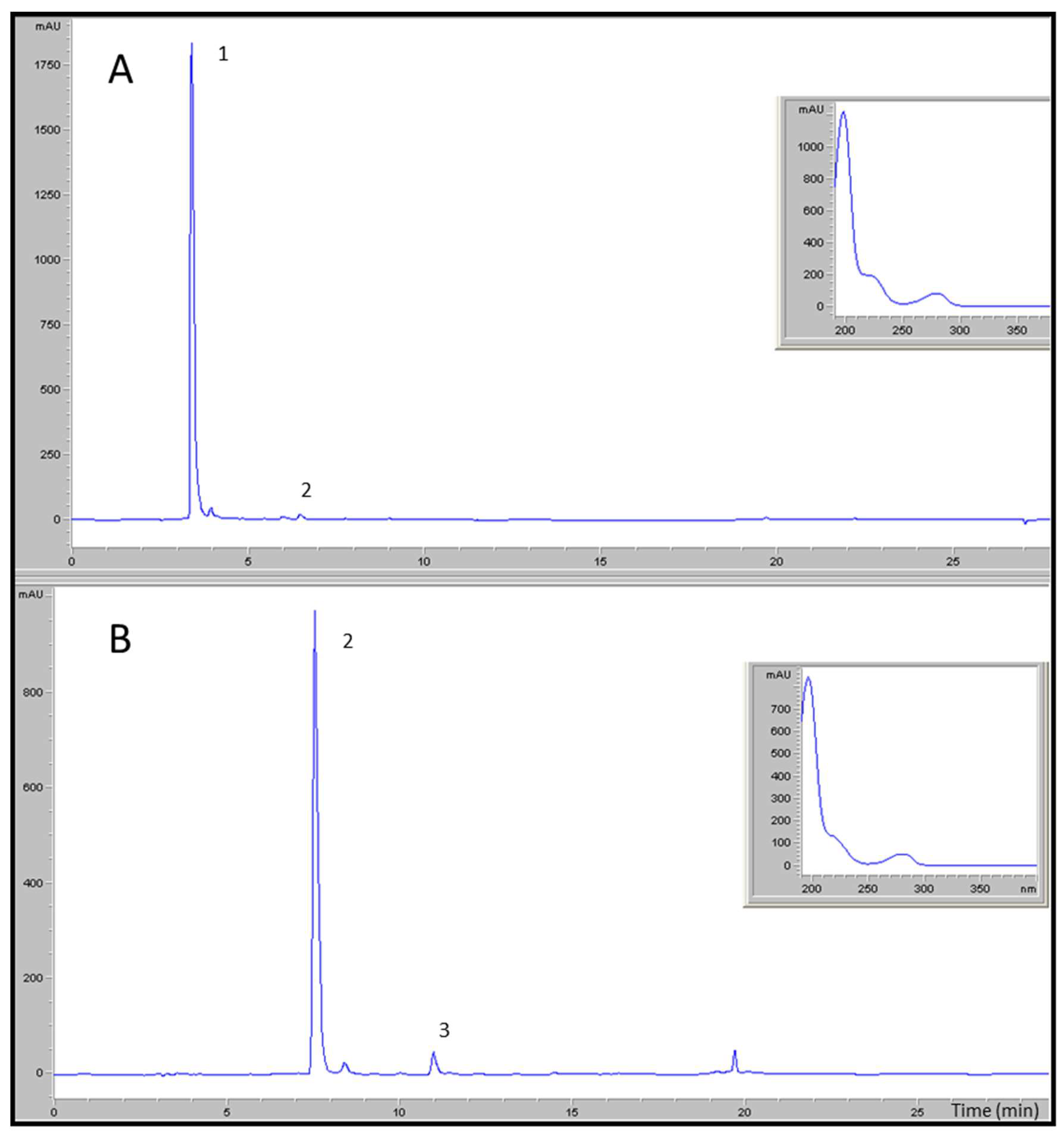 Brainsci 11 01133 g001 Brainsci 11 01133 g001