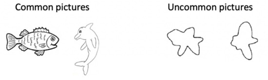 Brainsci 11 01146 g0a1