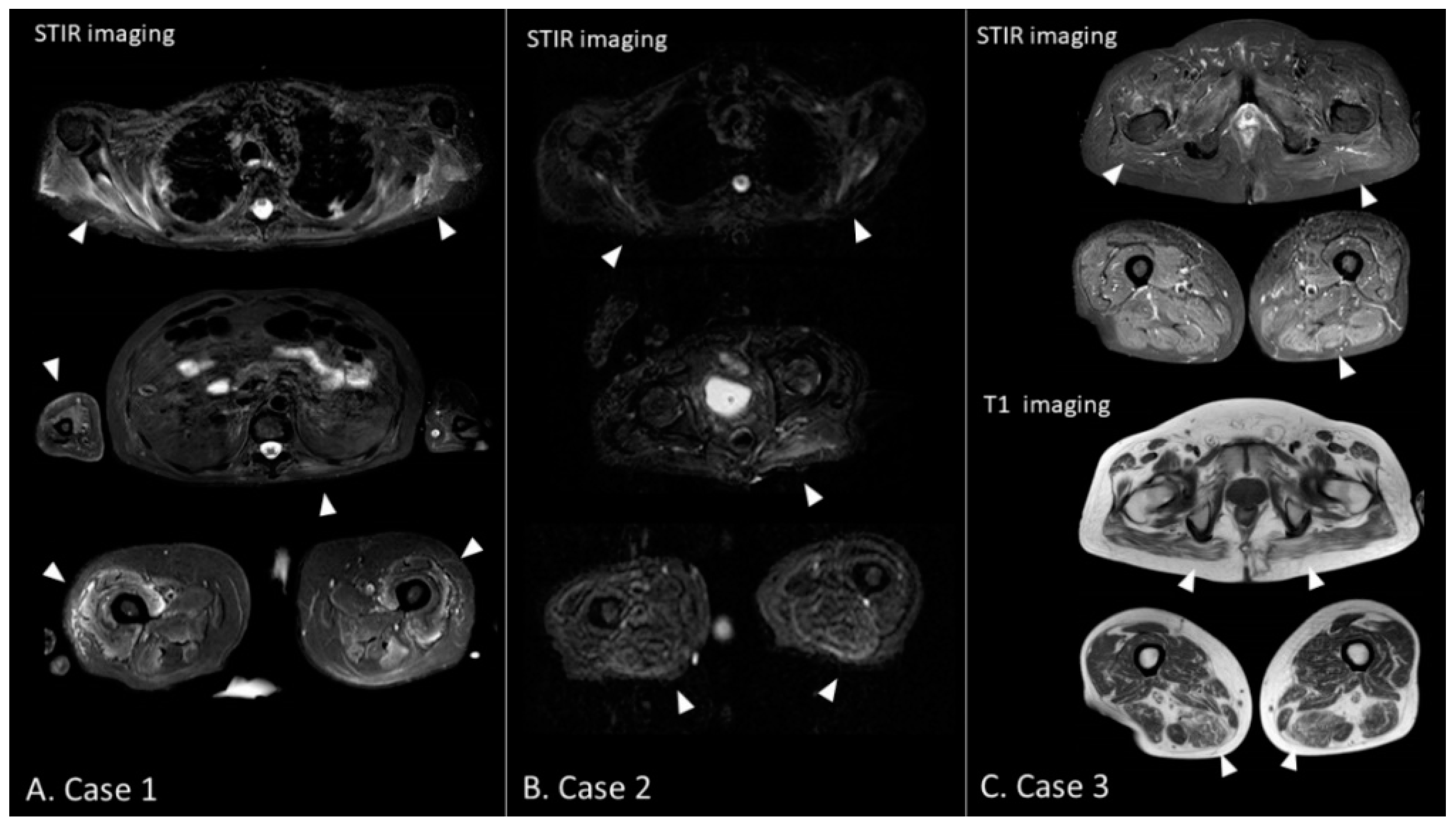 Brainsci 11 01177 g001