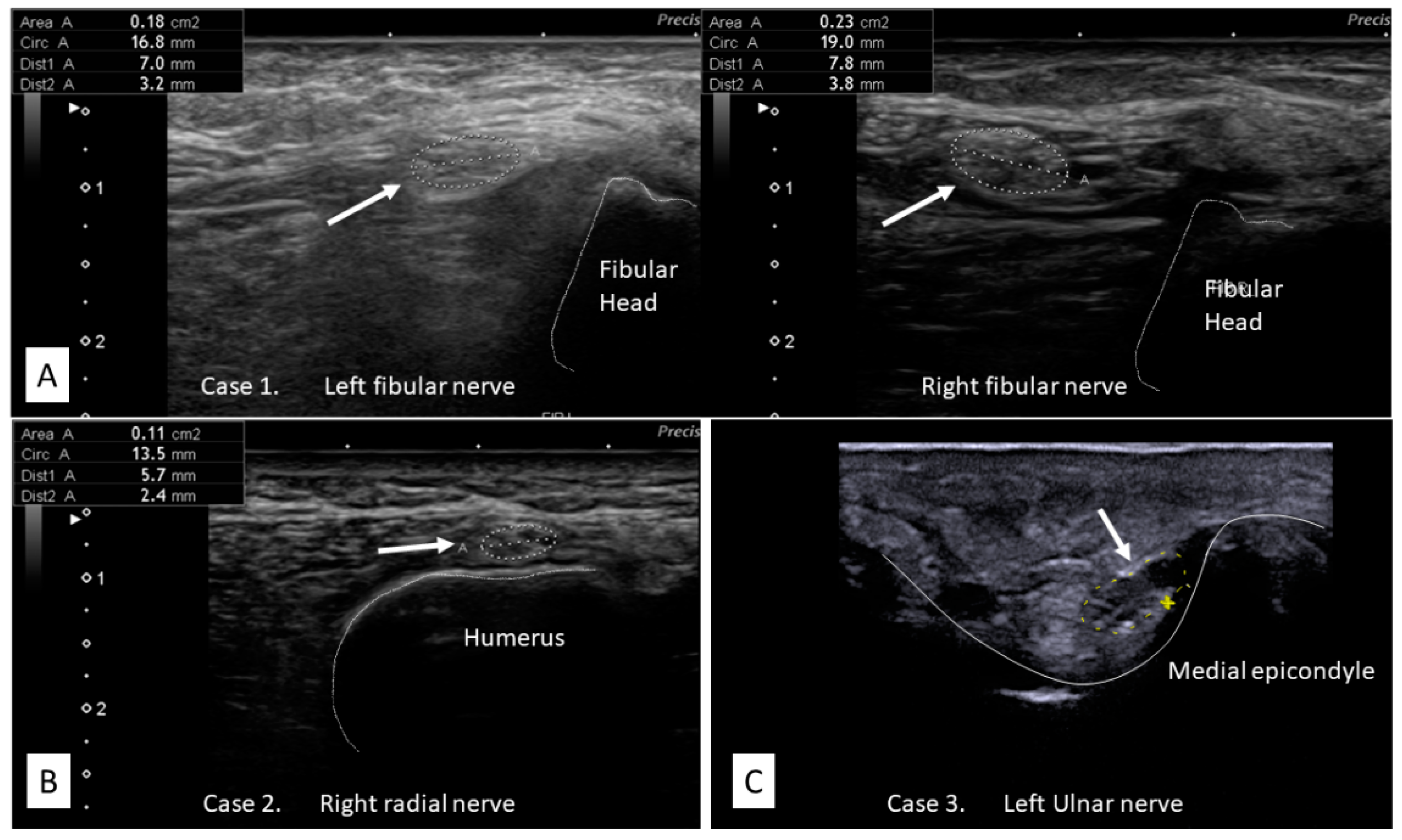 Brainsci 11 01177 g003
