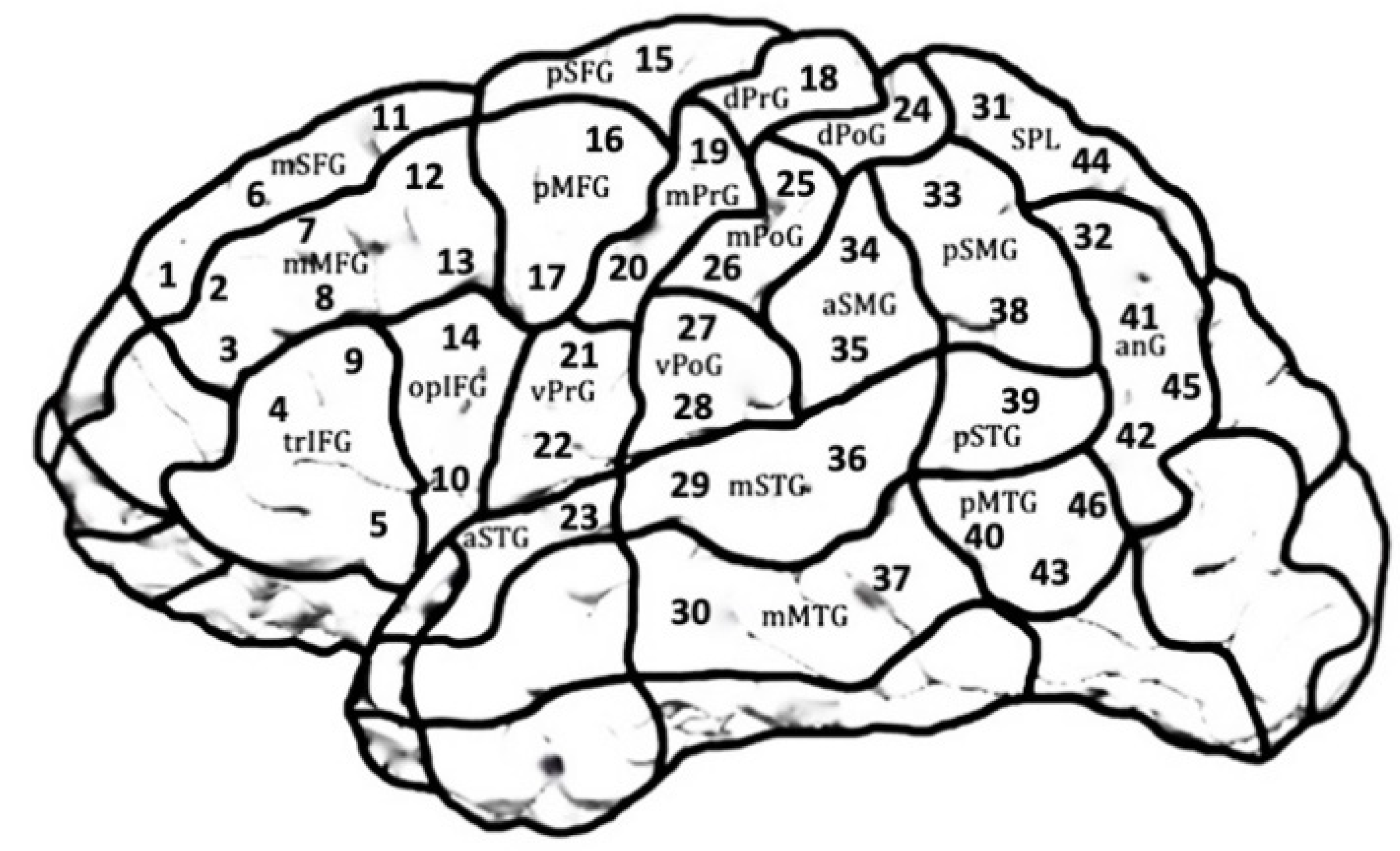 Brainsci 11 01190 g003