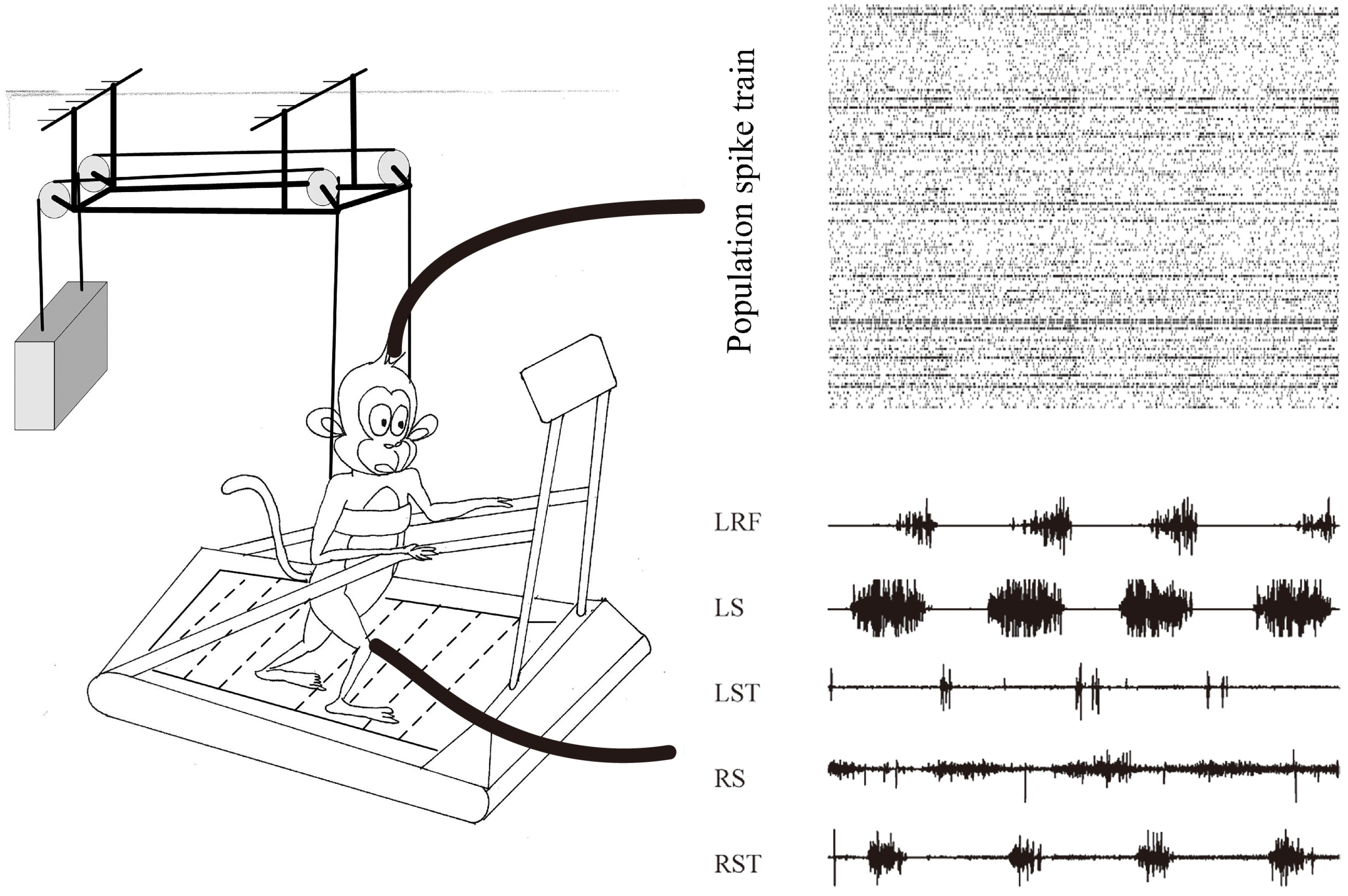 Brainsci 11 01193 g001