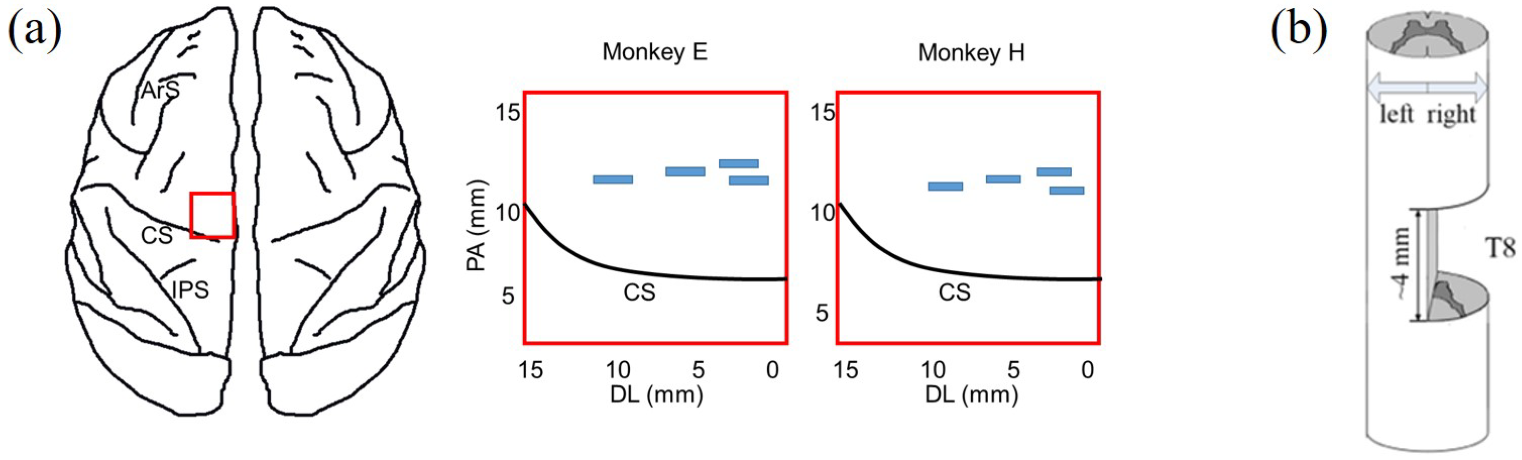 Brainsci 11 01193 g002