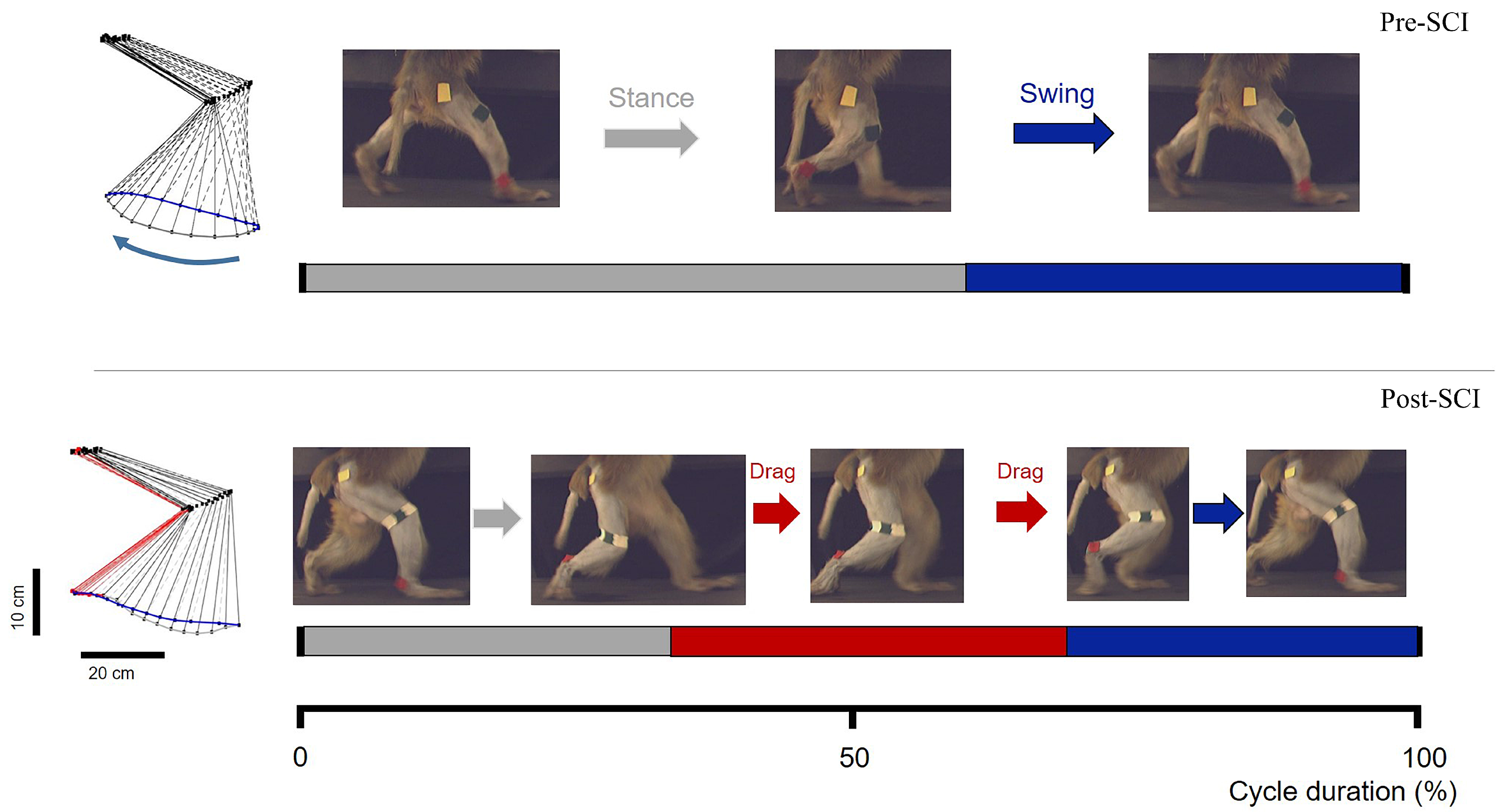 Brainsci 11 01193 g004