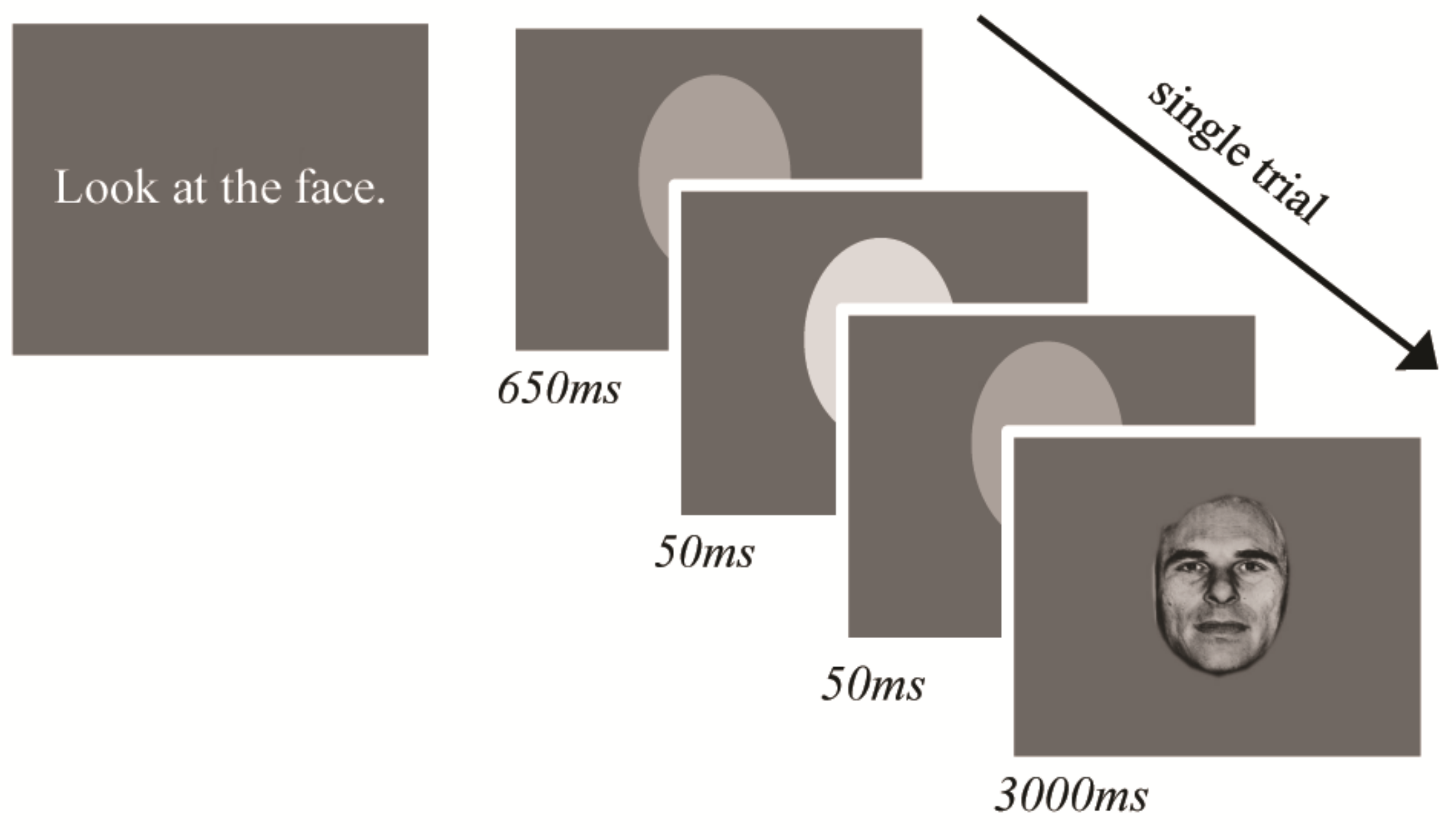 Brainsci 11 01195 g001 Brainsci 11 01195 g001