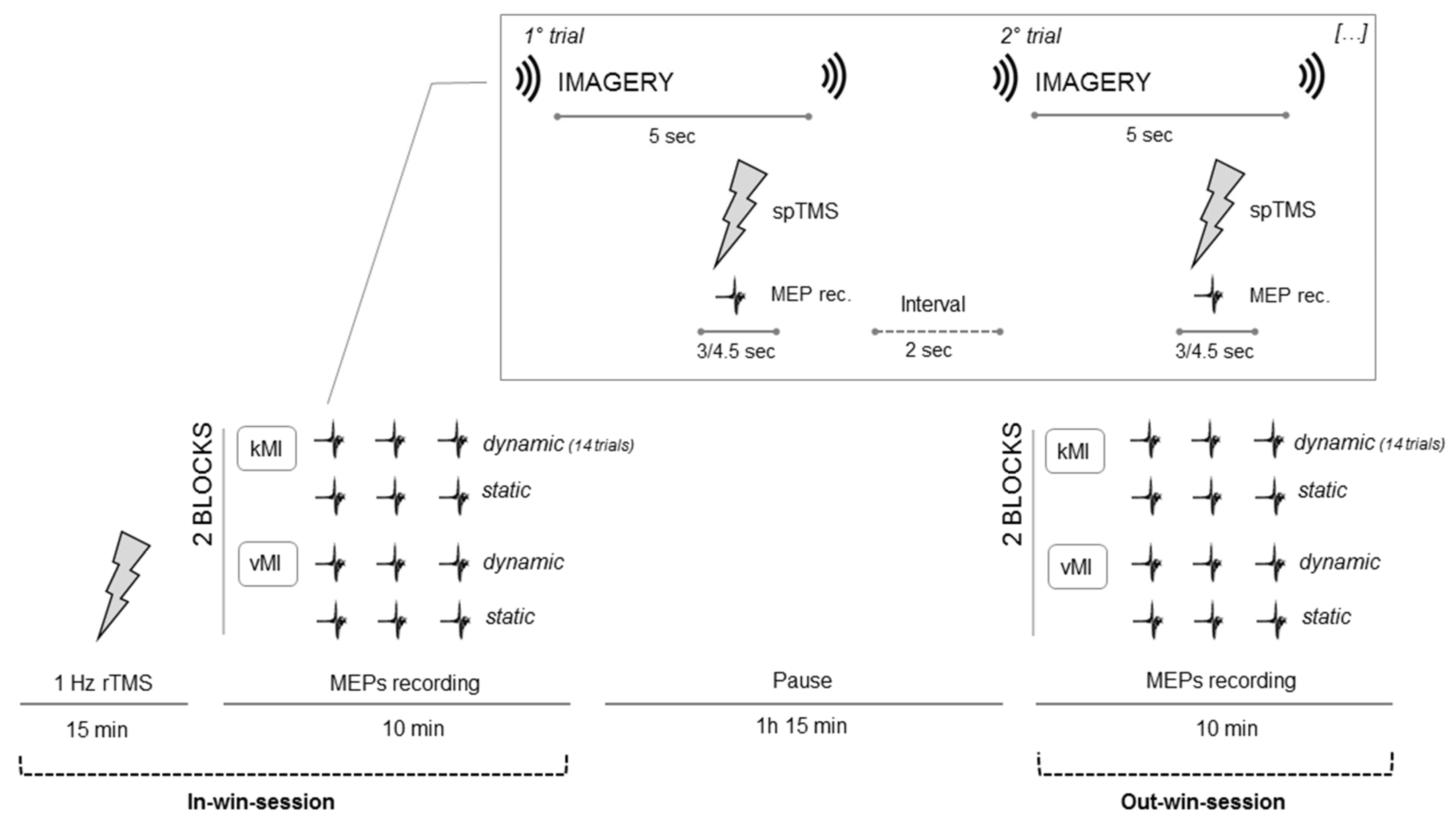 Brainsci 11 01196 g001 Brainsci 11 01196 g001