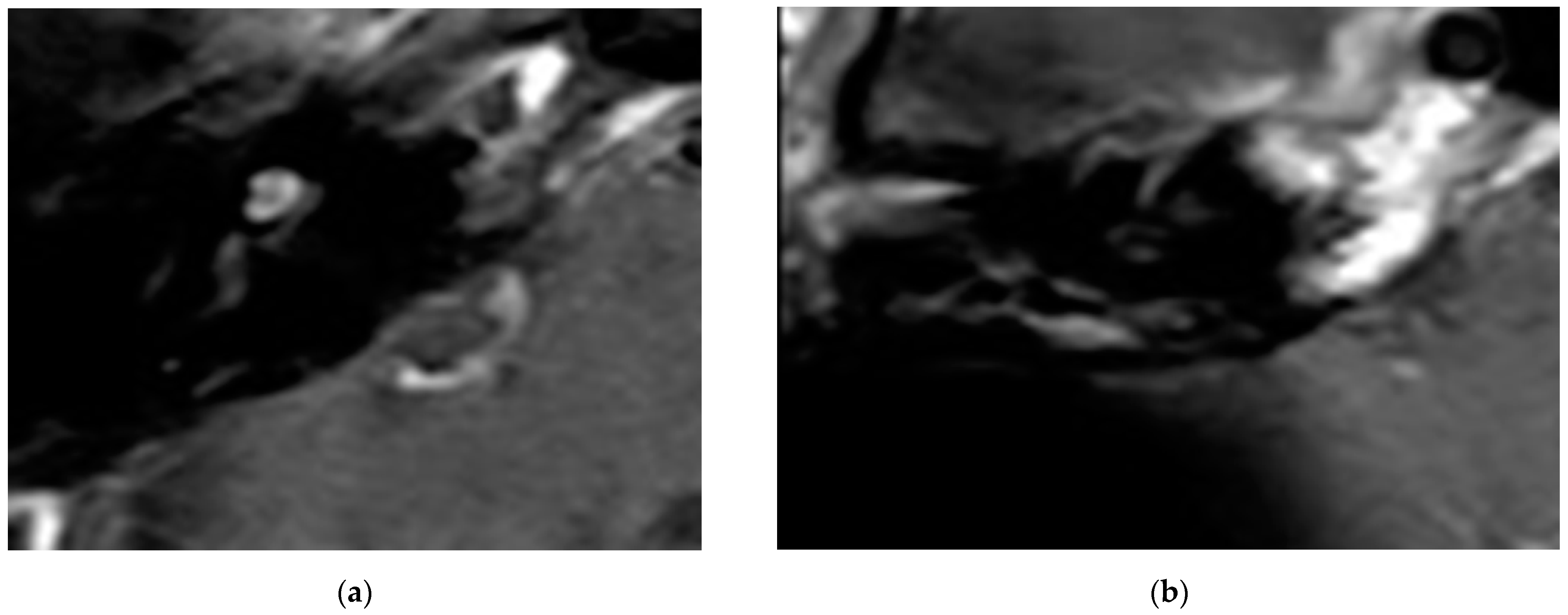 Brainsci 11 01221 g002