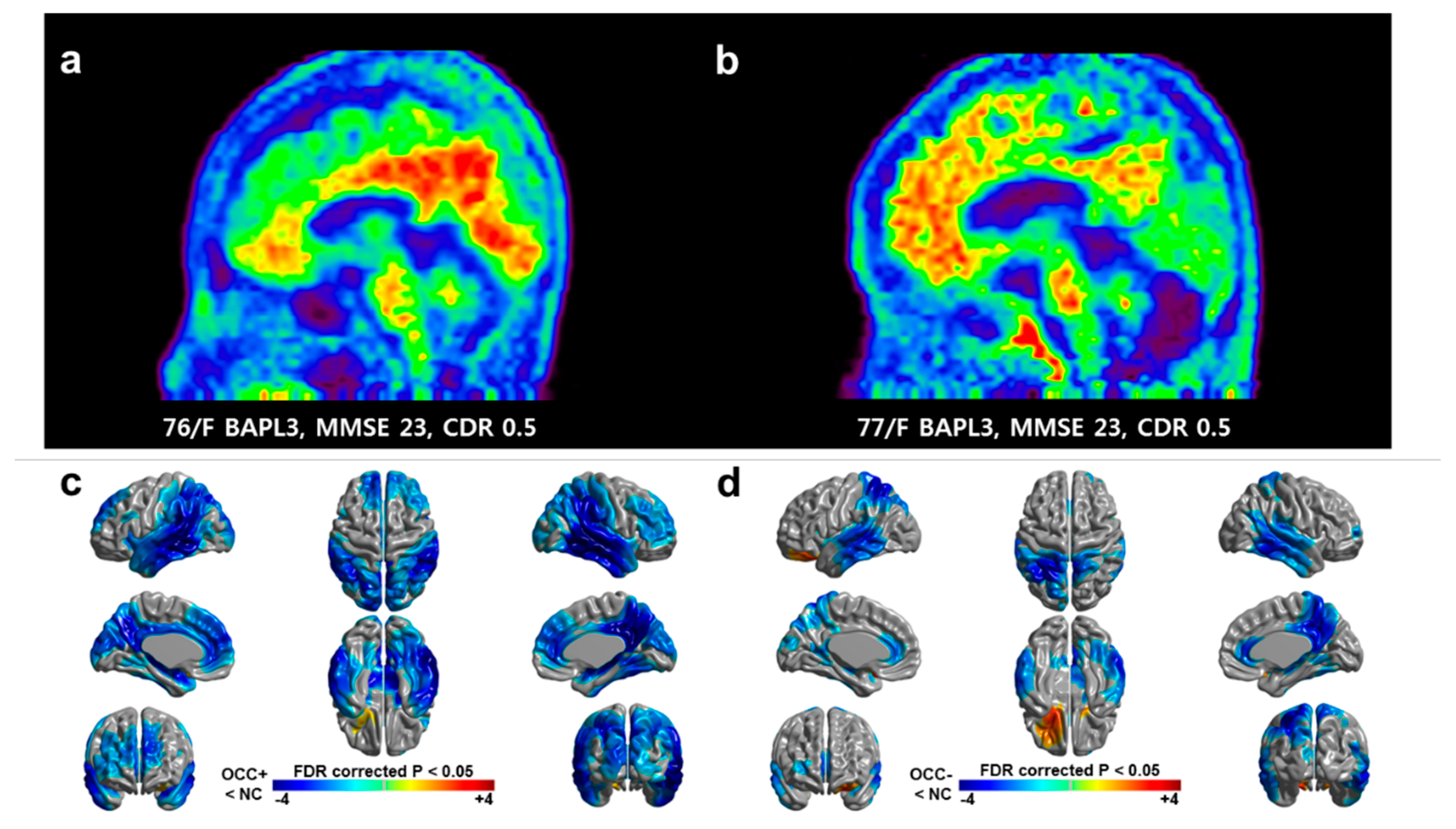 Brainsci 11 01232 g001