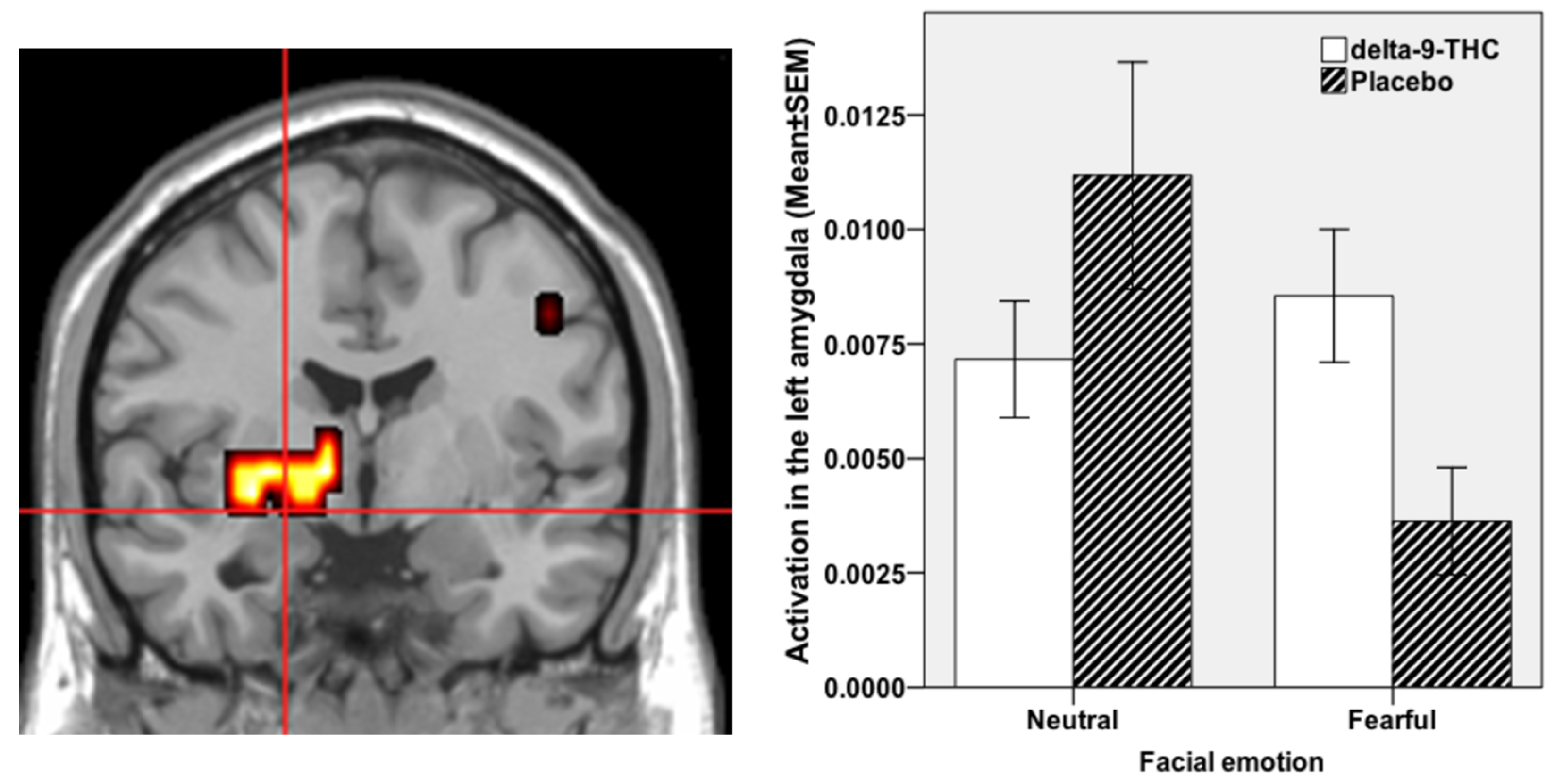 Brainsci 11 01240 g001