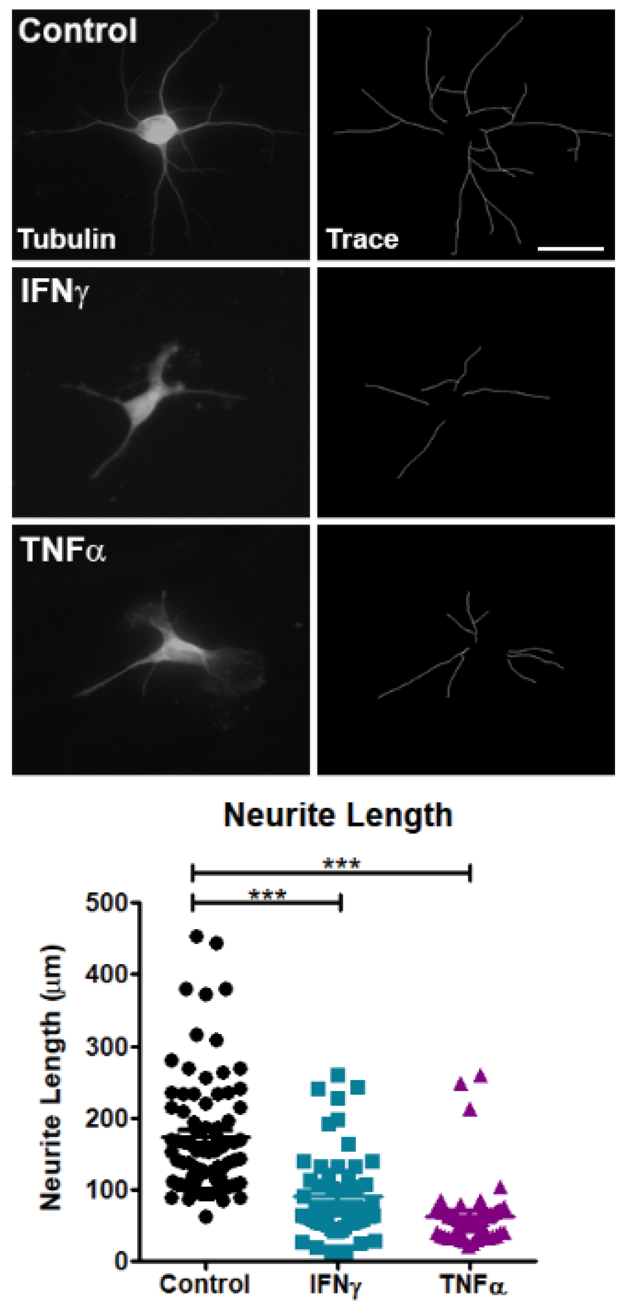 Brainsci 11 01282 g002