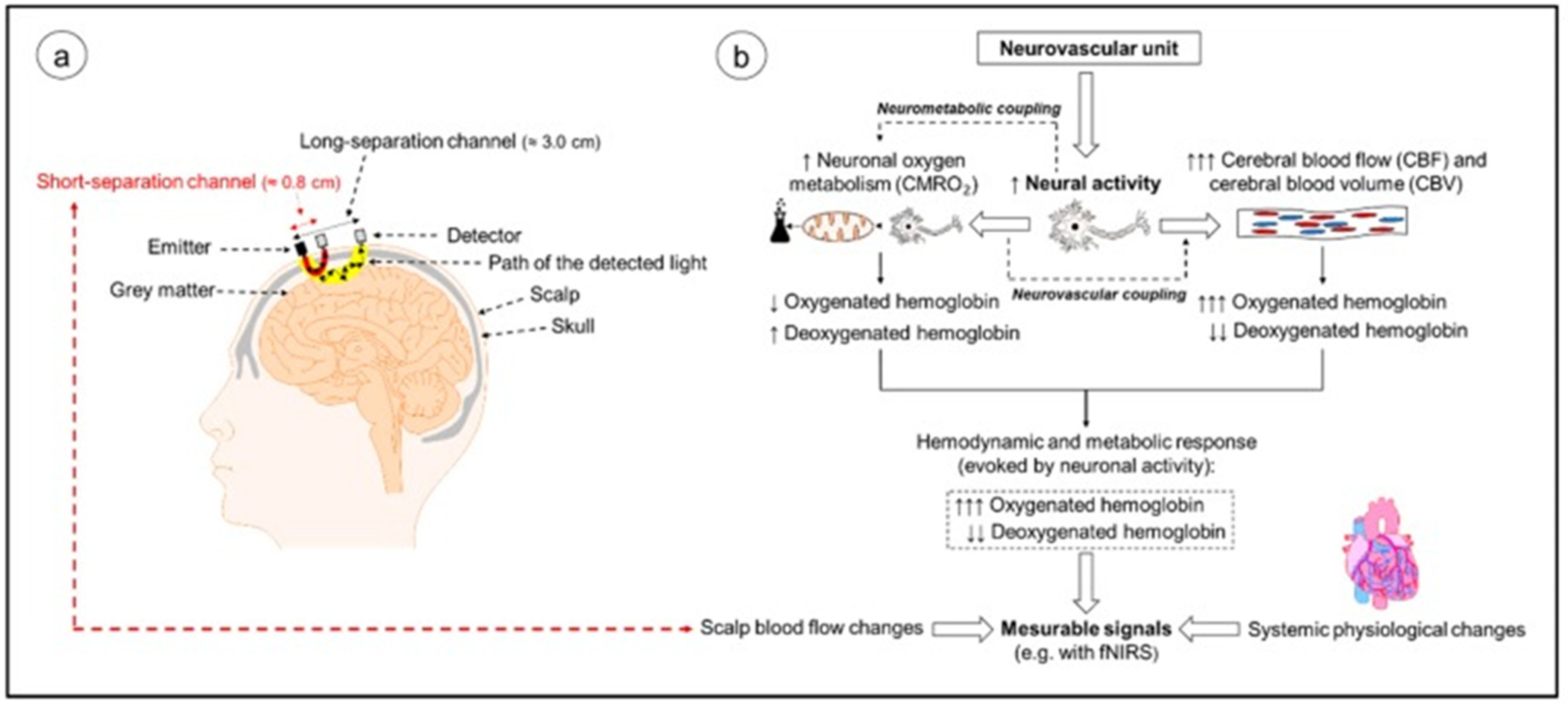 Brainsci 11 01289 g007