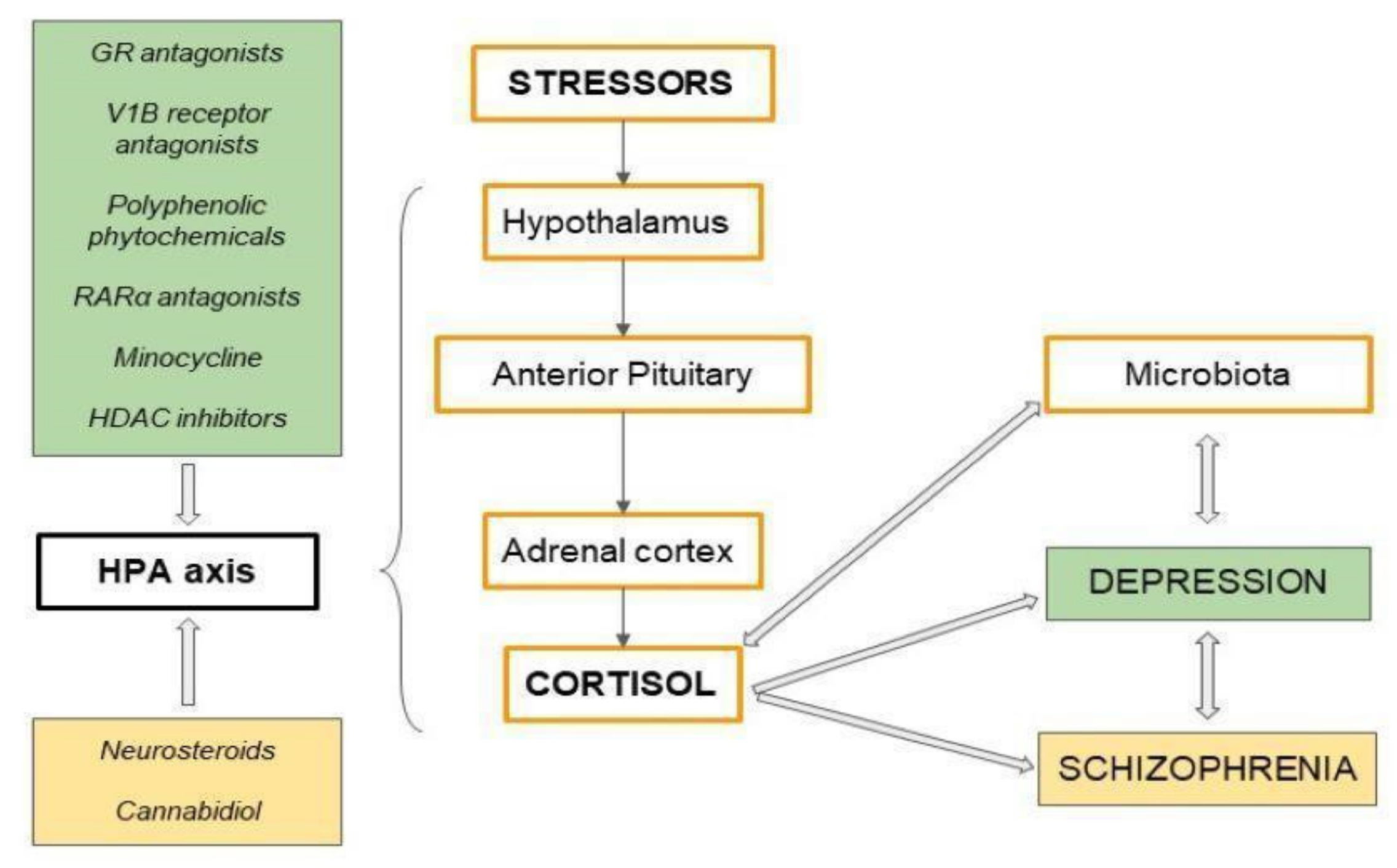Brainsci 11 01298 g004 Brainsci 11 01298 g004