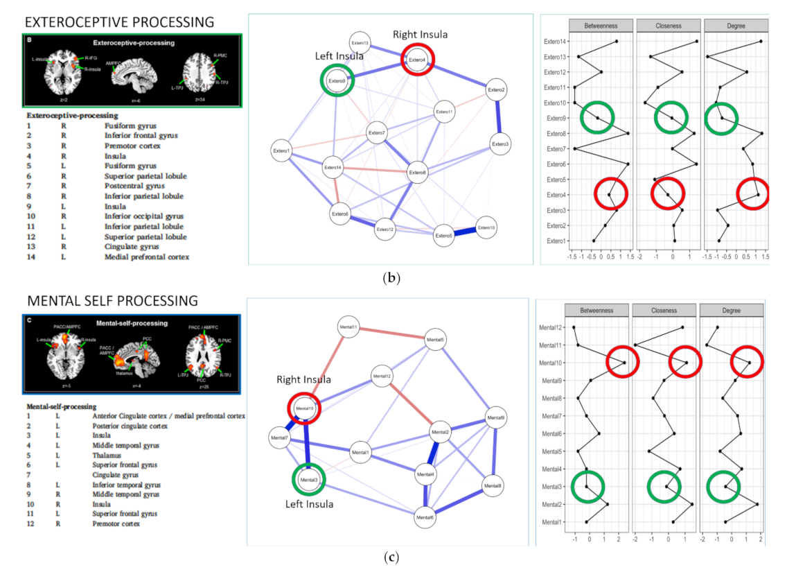 Brainsci 11 01312 g001b