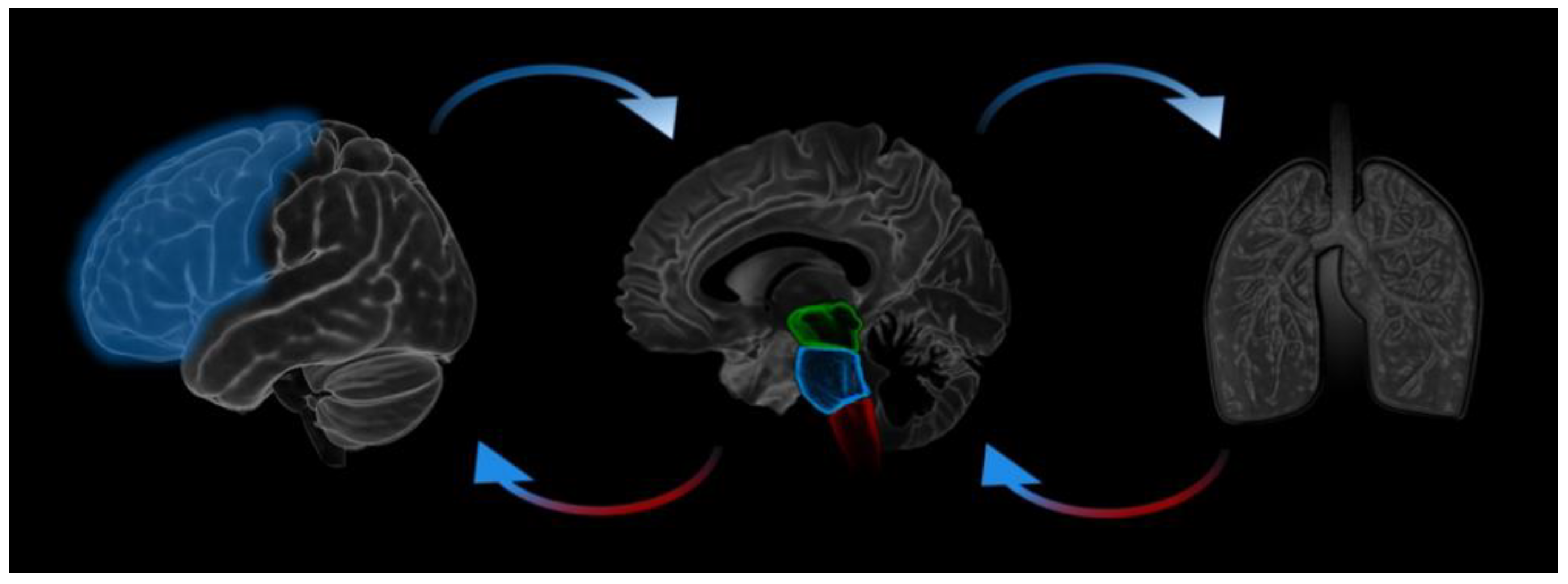 Brainsci 11 01324 g001