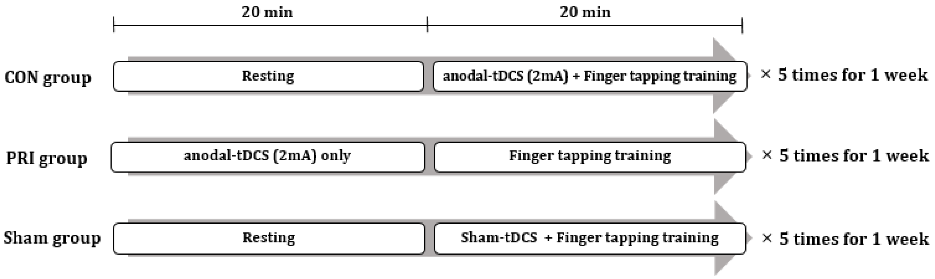 Brainsci 11 01325 g001