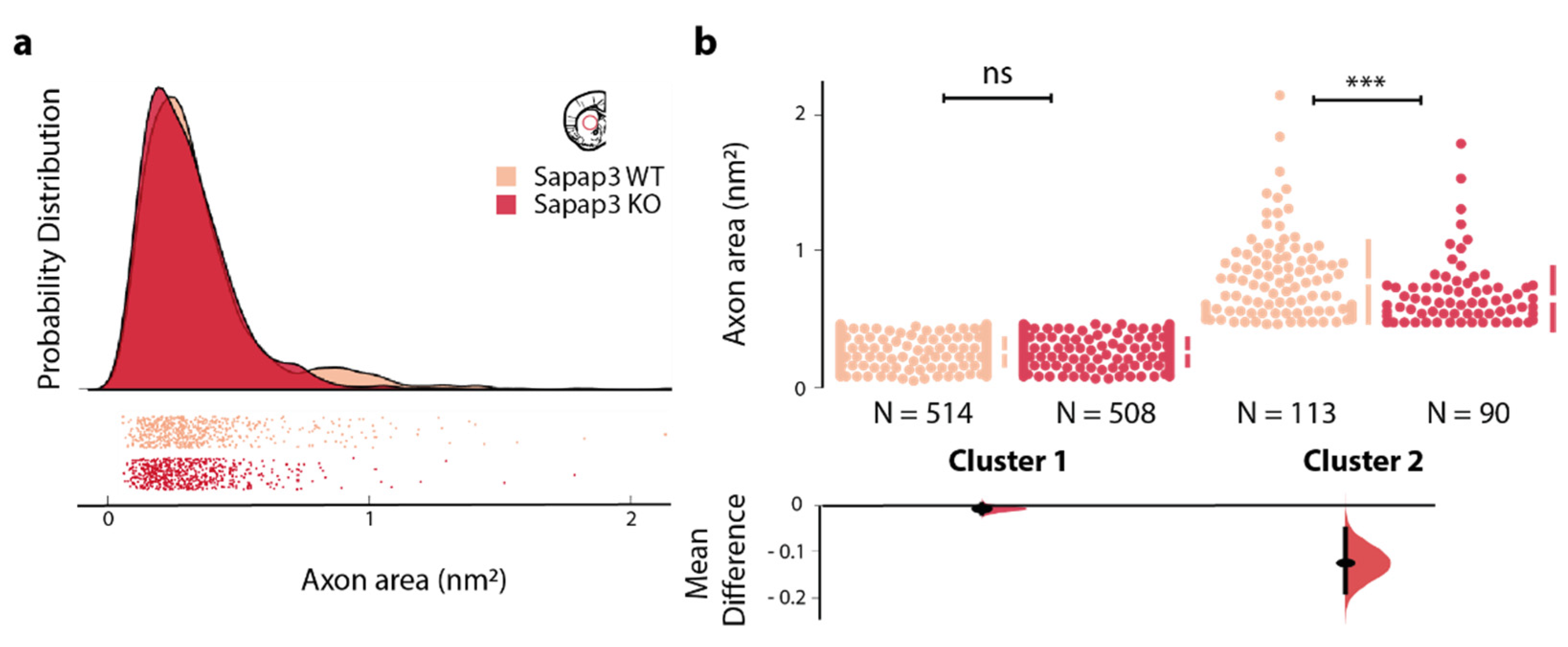 Brainsci 11 01353 g002