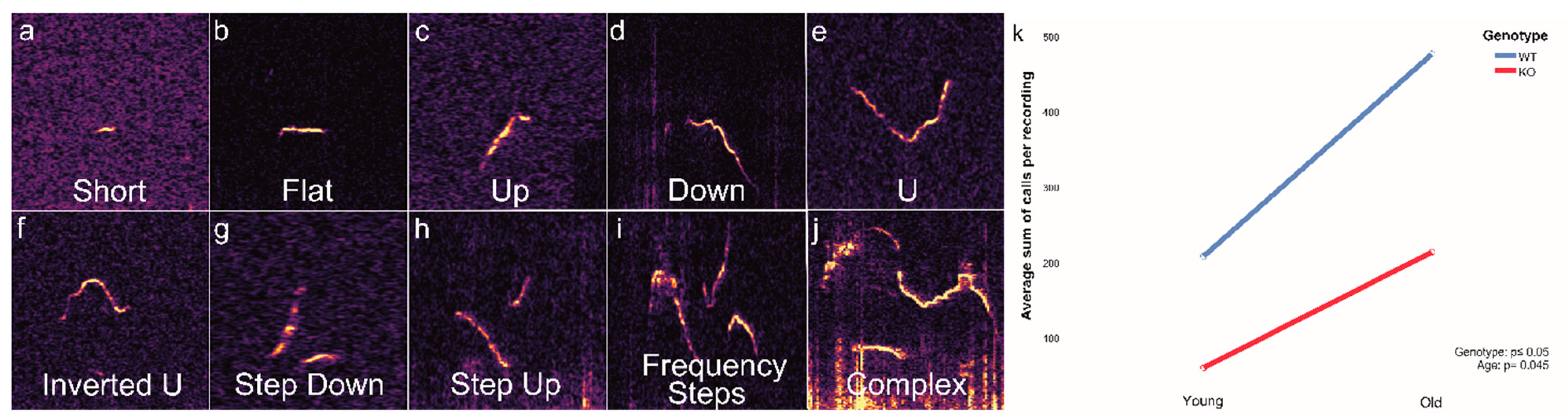Brainsci 11 01365 g001