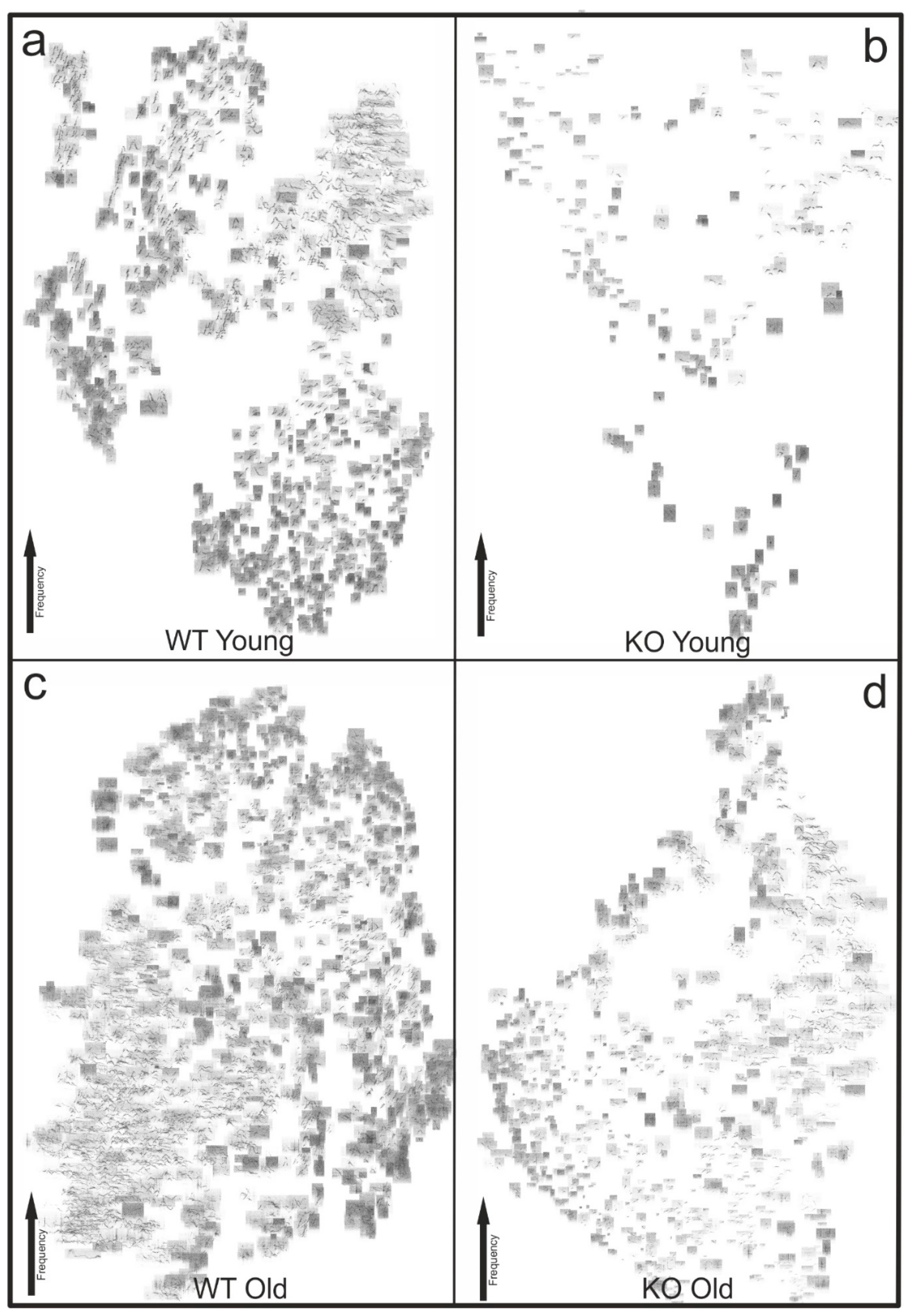 Brainsci 11 01365 g005
