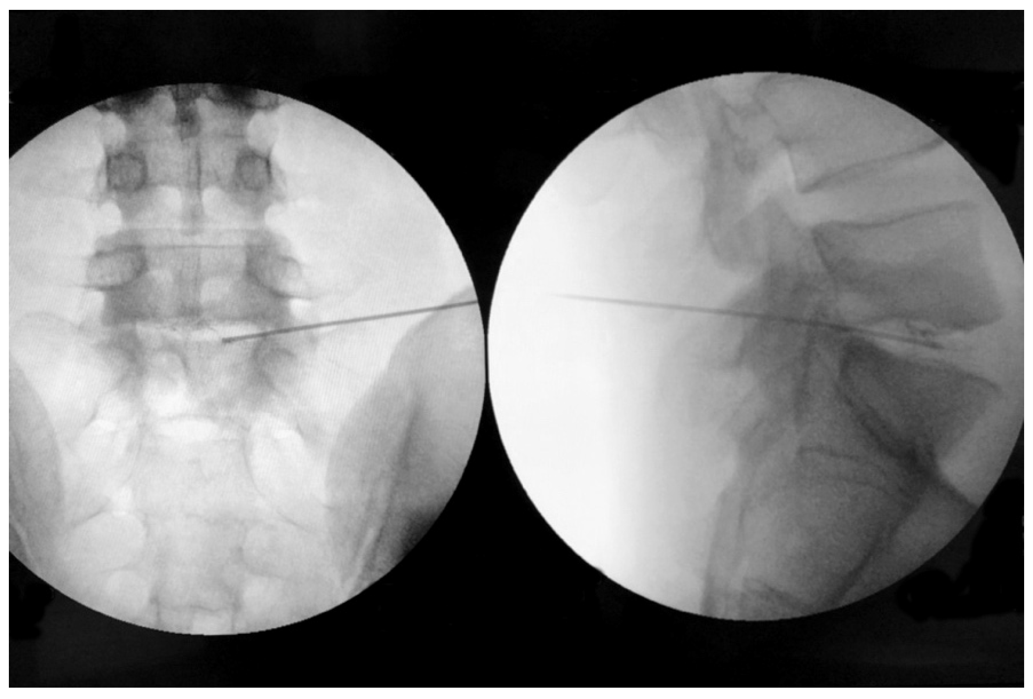 Brainsci 11 01434 g001
