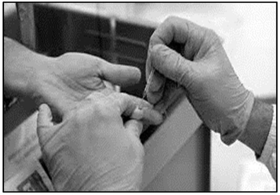 Brainsci 11 01489 g0a2