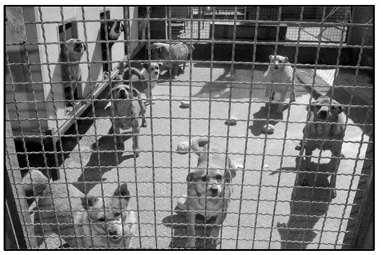 Brainsci 11 01489 g0a4