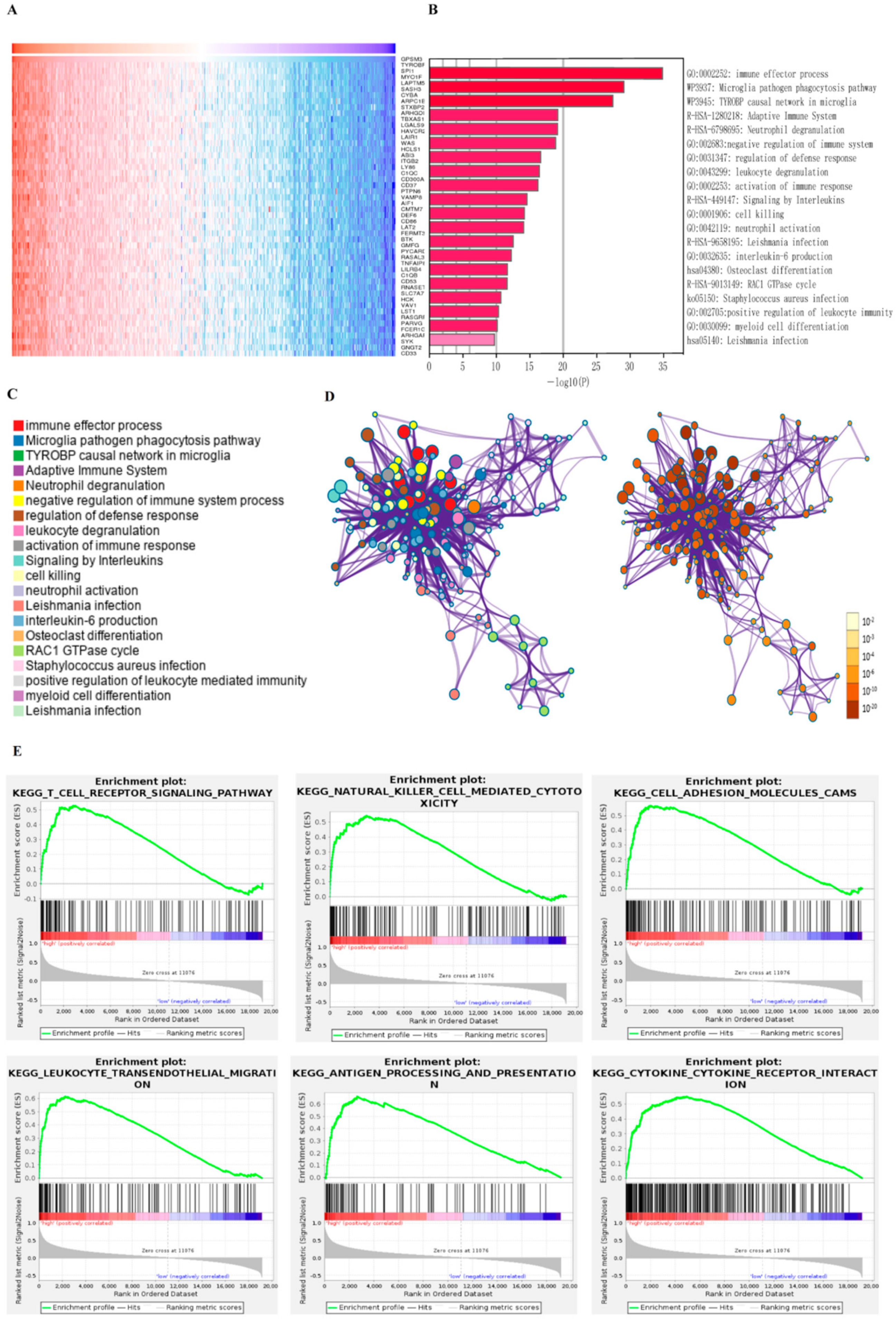 Brainsci 11 01529 g003