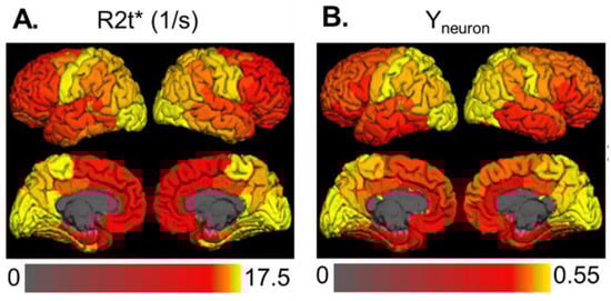 Brainsci 11 01565 g0a1 550