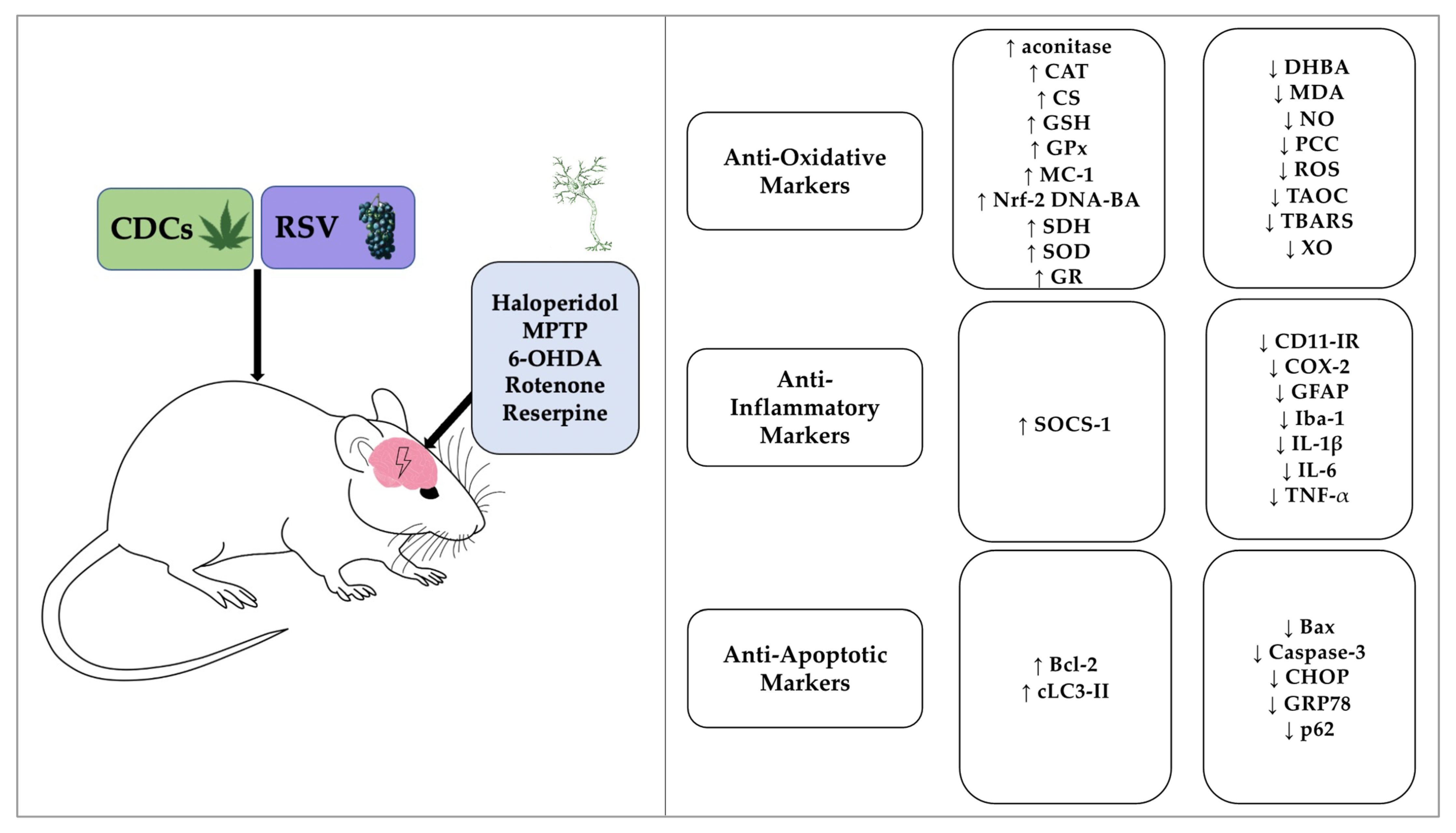 Brainsci 11 01573 g002
